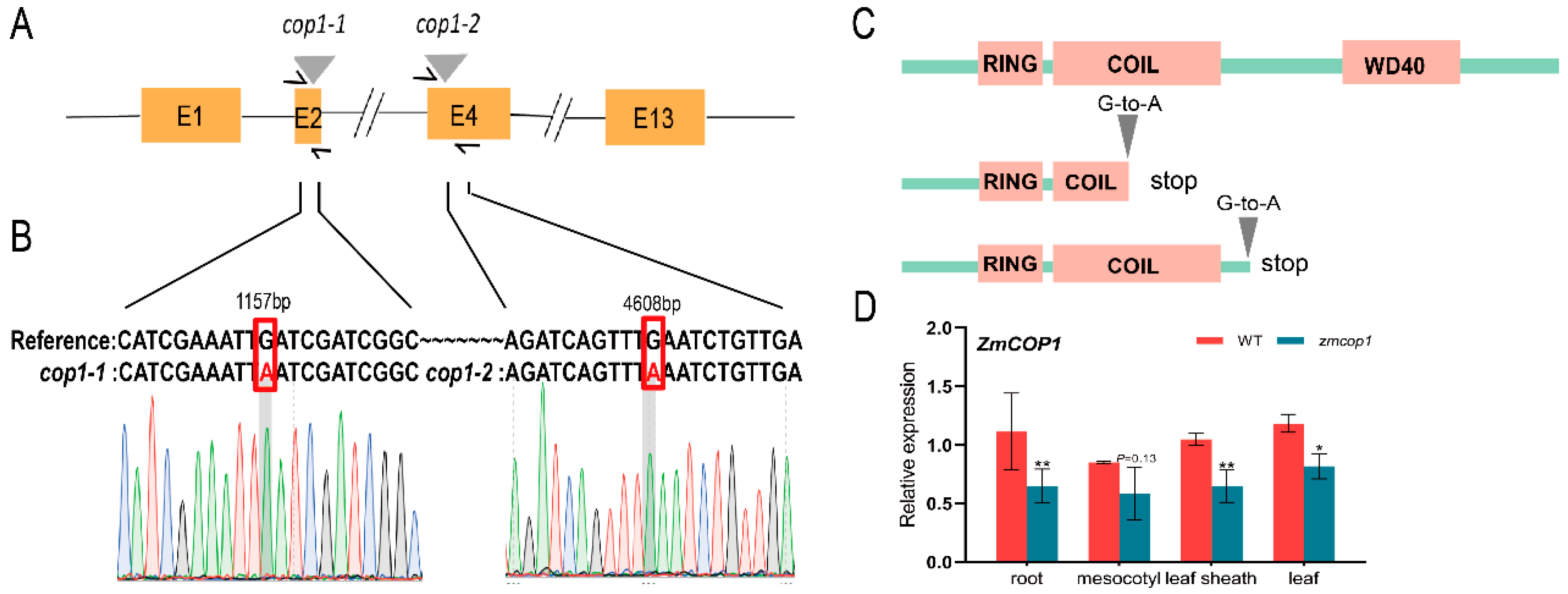 Life 13 01522 g001 Life 13 01522 g001