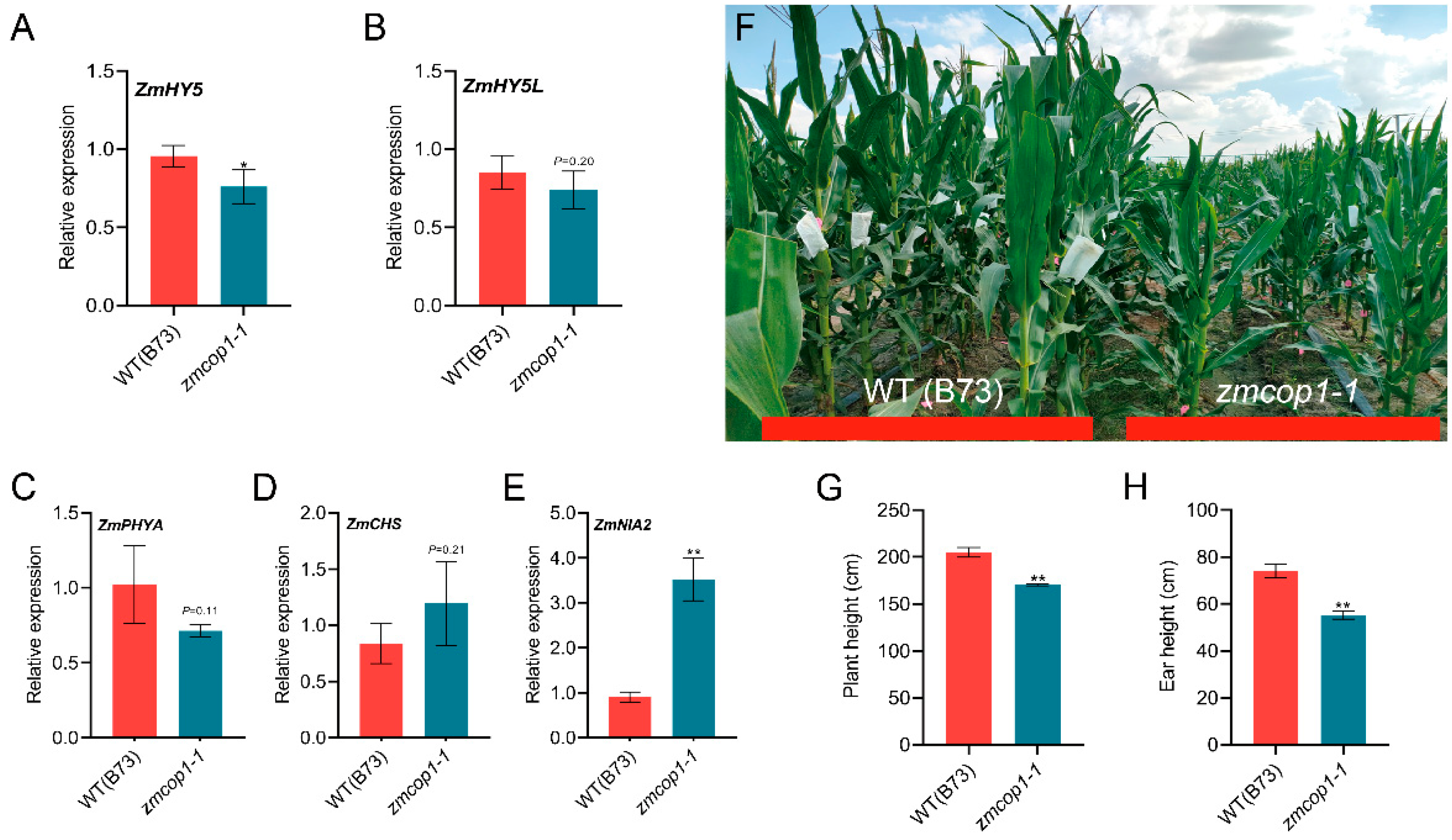 Life 13 01522 g003 Life 13 01522 g003