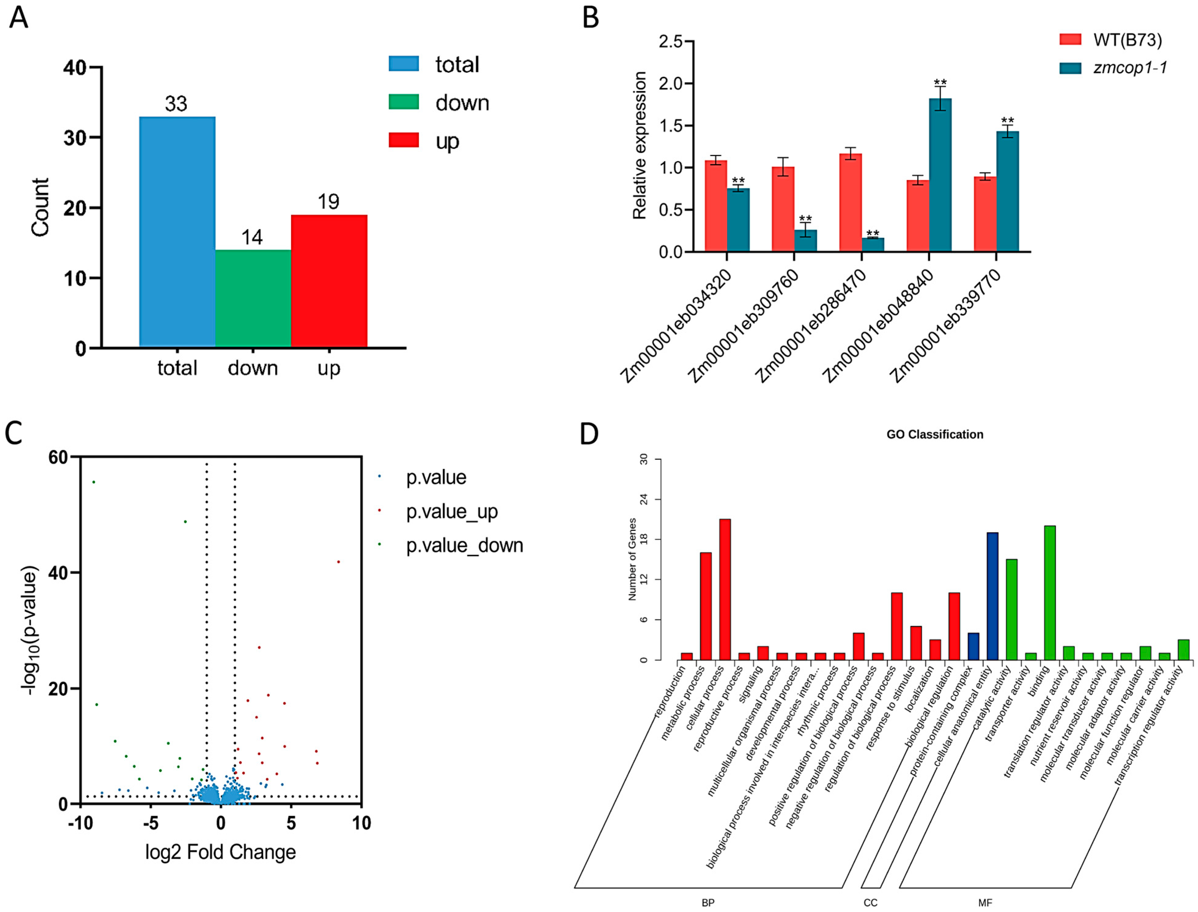 Life 13 01522 g004 Life 13 01522 g004