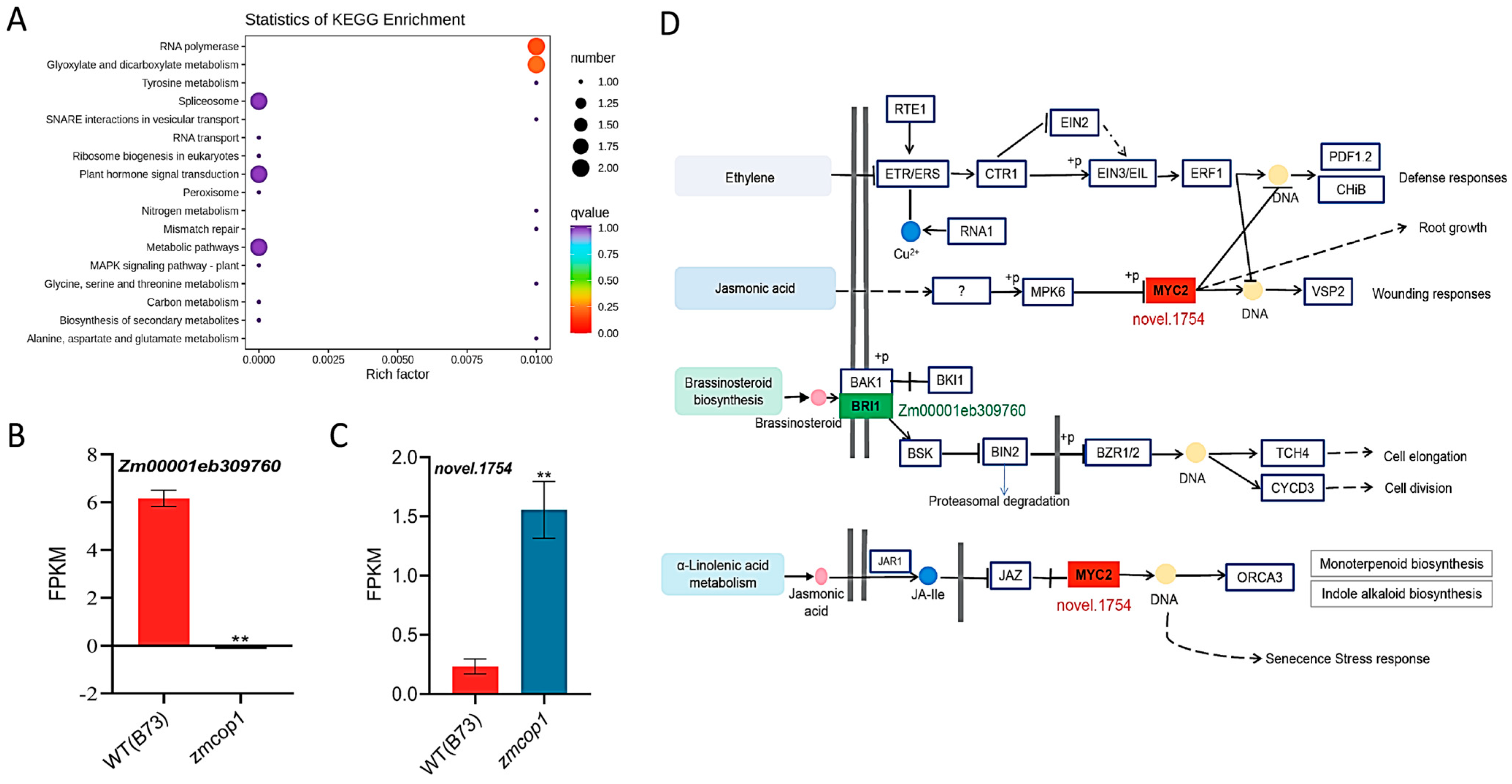 Life 13 01522 g005 Life 13 01522 g005
