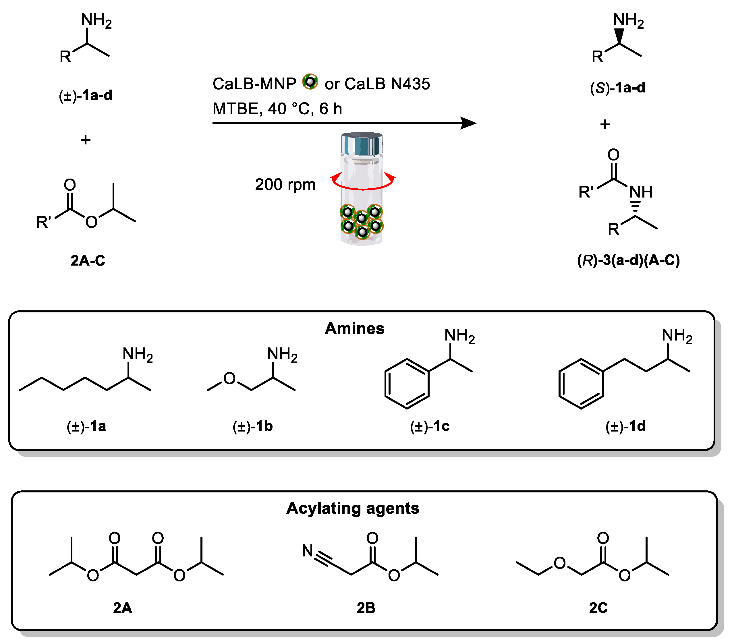 Life 13 01560 sch001 Life 13 01560 sch001