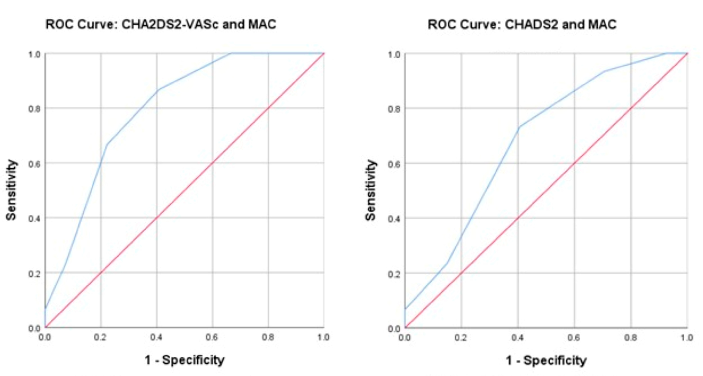 Life 13 01568 g004 Life 13 01568 g004