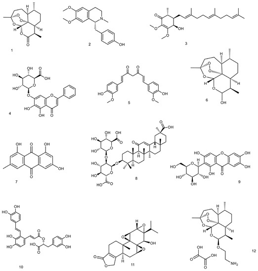 NERO GB TP - Synt Chemical