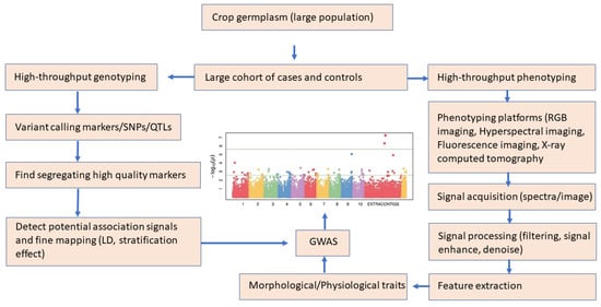 Proposal For Phylogenic Classification, Advances Bread Clip Science