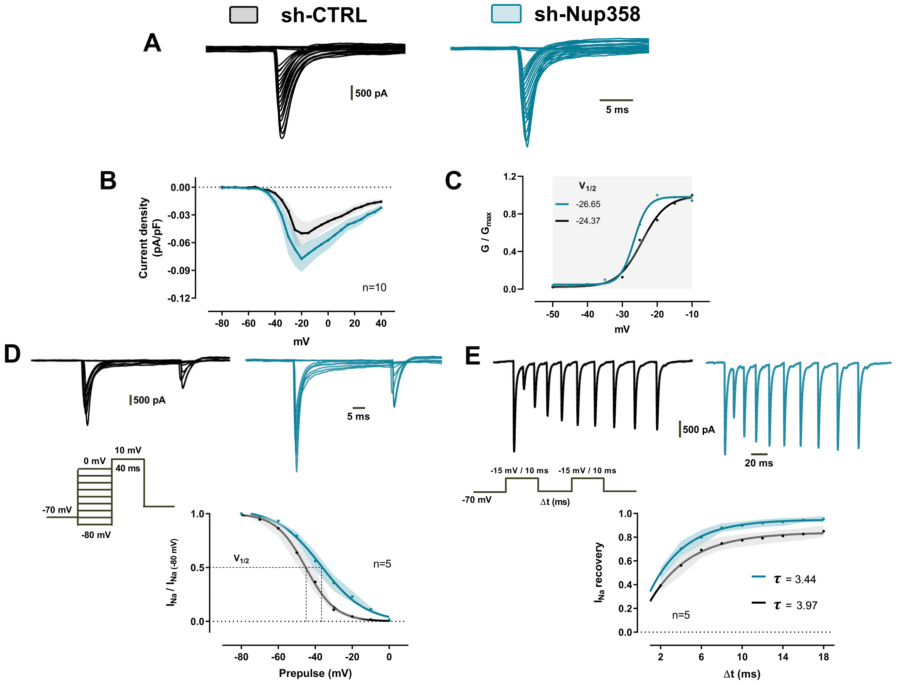 Life 13 01791 g006 Life 13 01791 g006