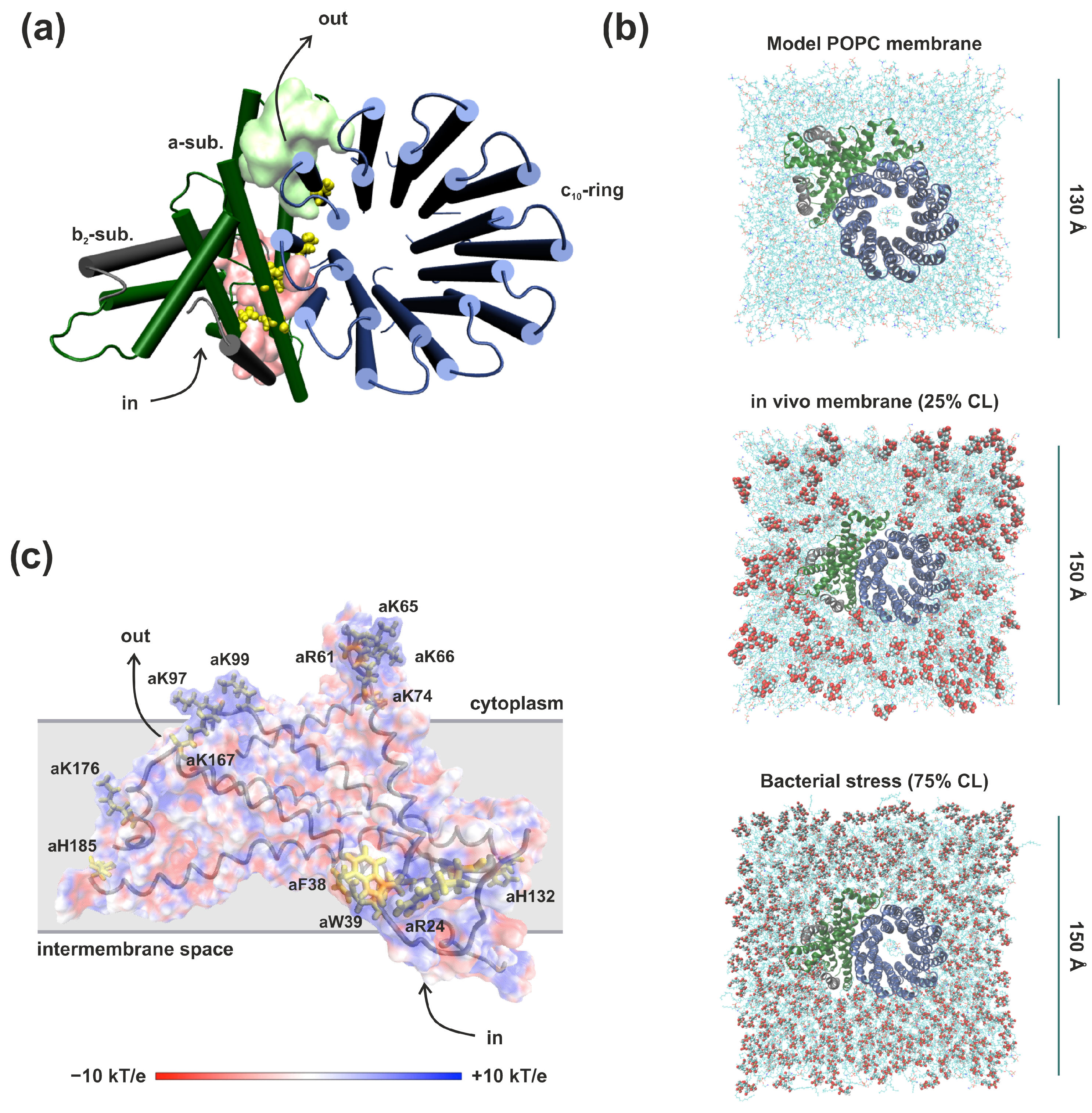 Life 13 01816 g001 Life 13 01816 g001