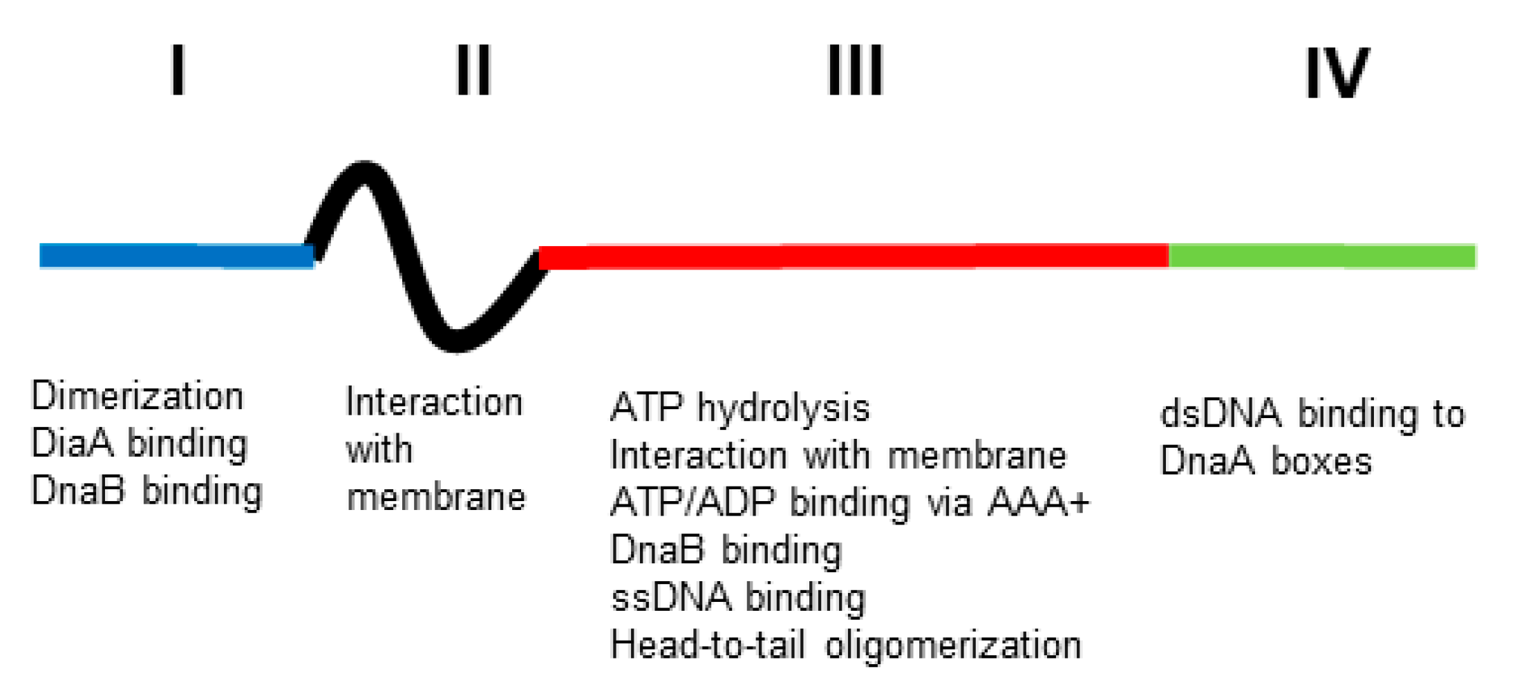 Global mode structure of EGAM in the case of exponentially small EGAM