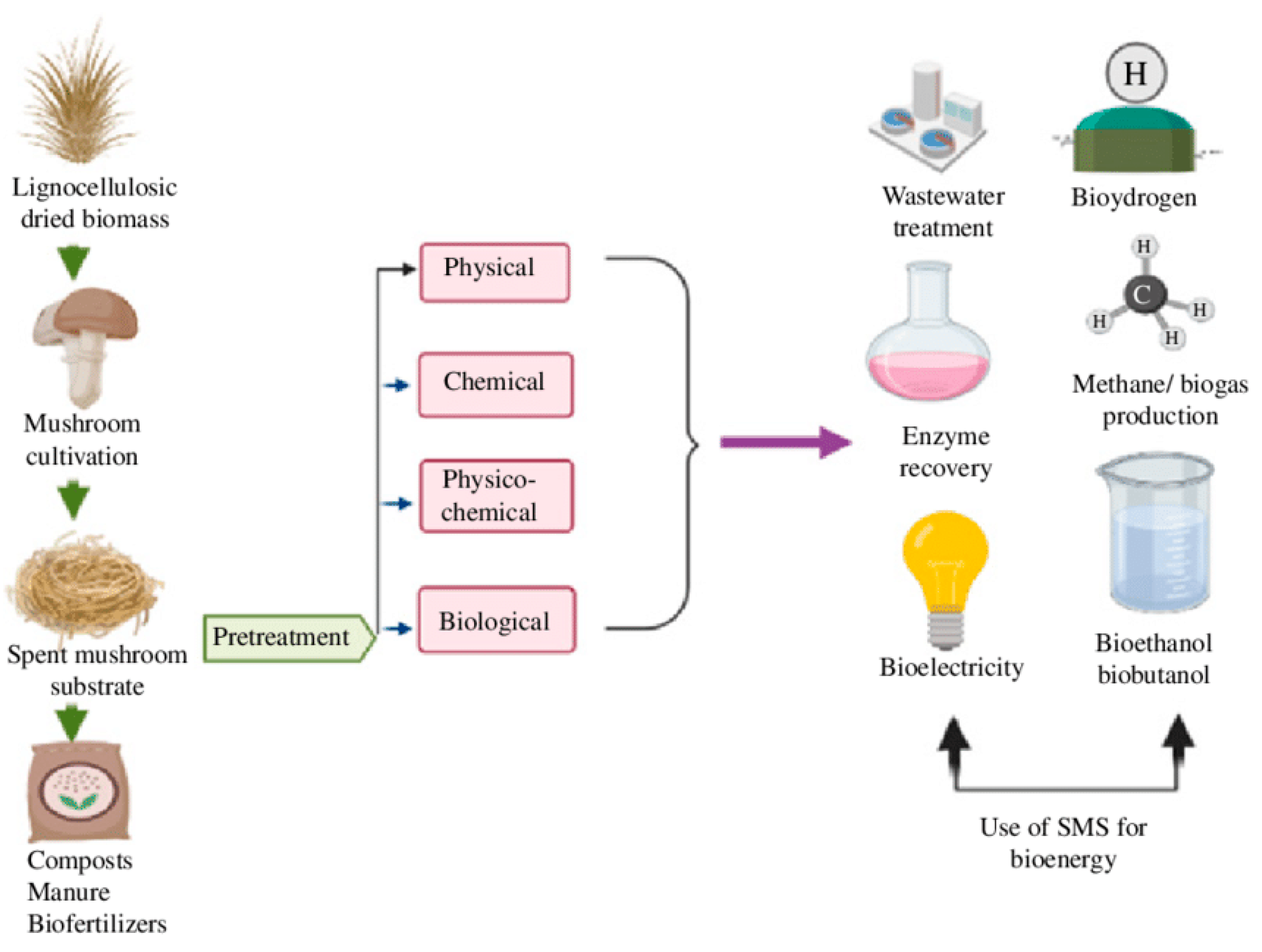 Life 13 01948 g006 Life 13 01948 g006