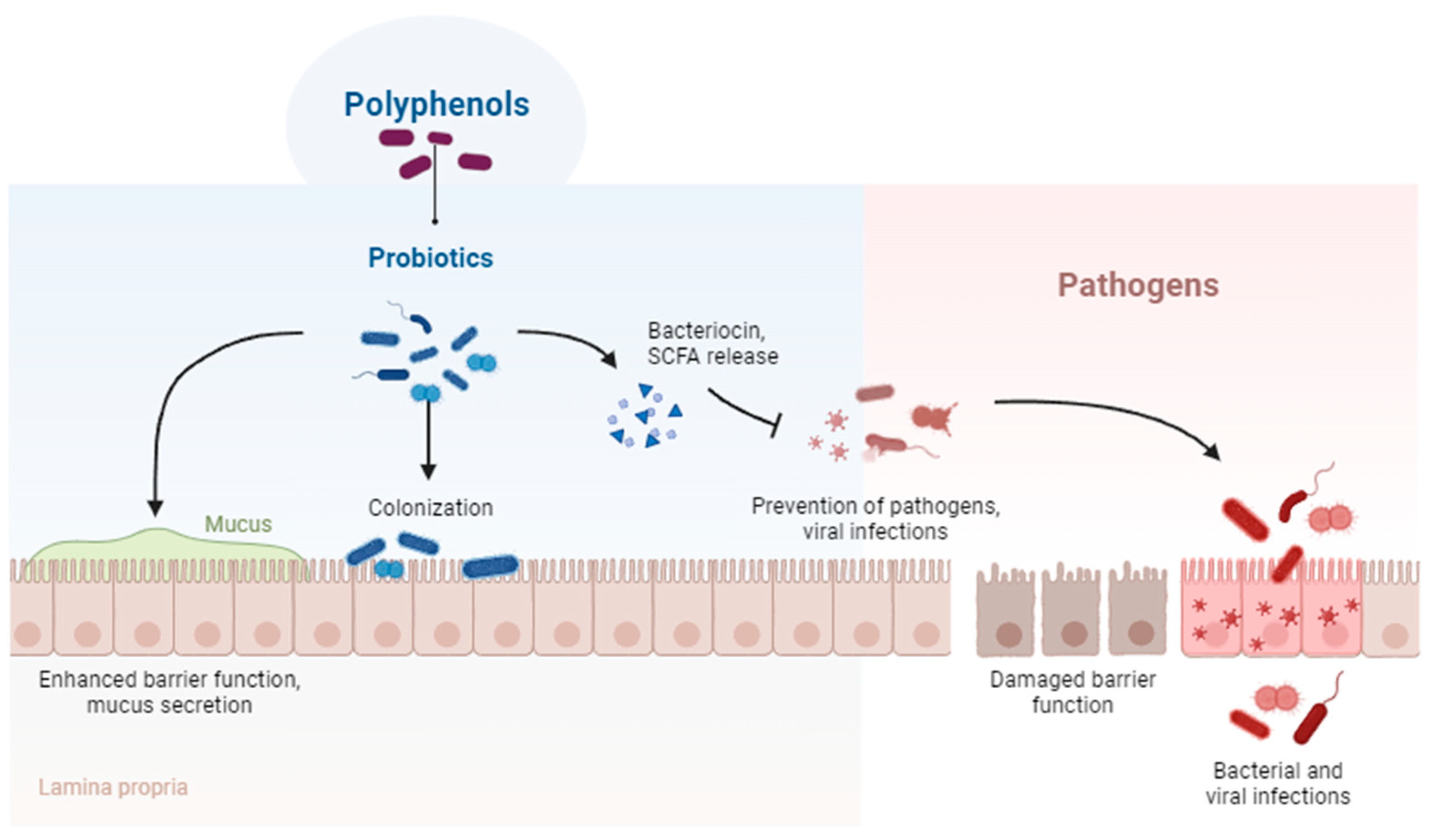 Life 13 01948 g007 Life 13 01948 g007