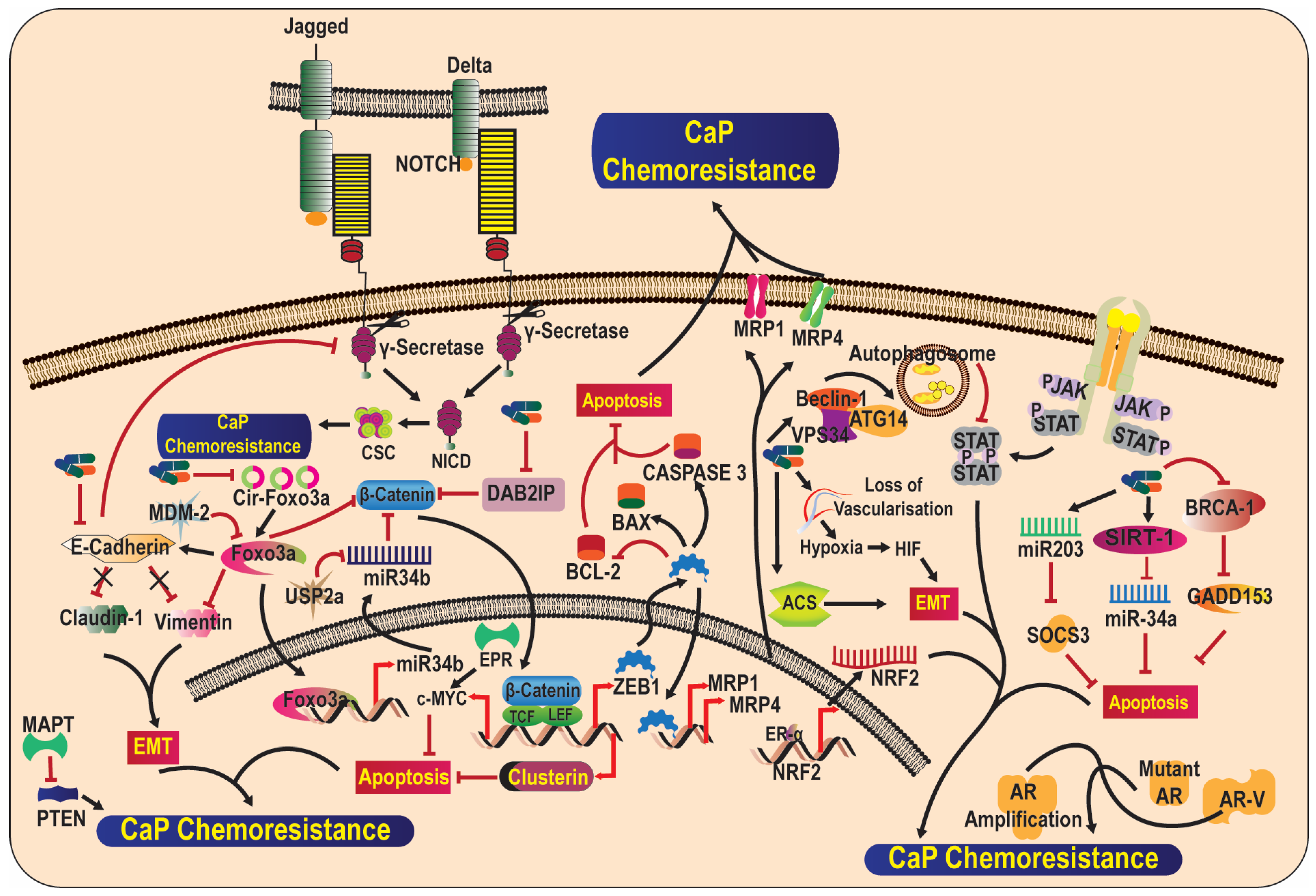 Life 13 01976 g002 Life 13 01976 g002