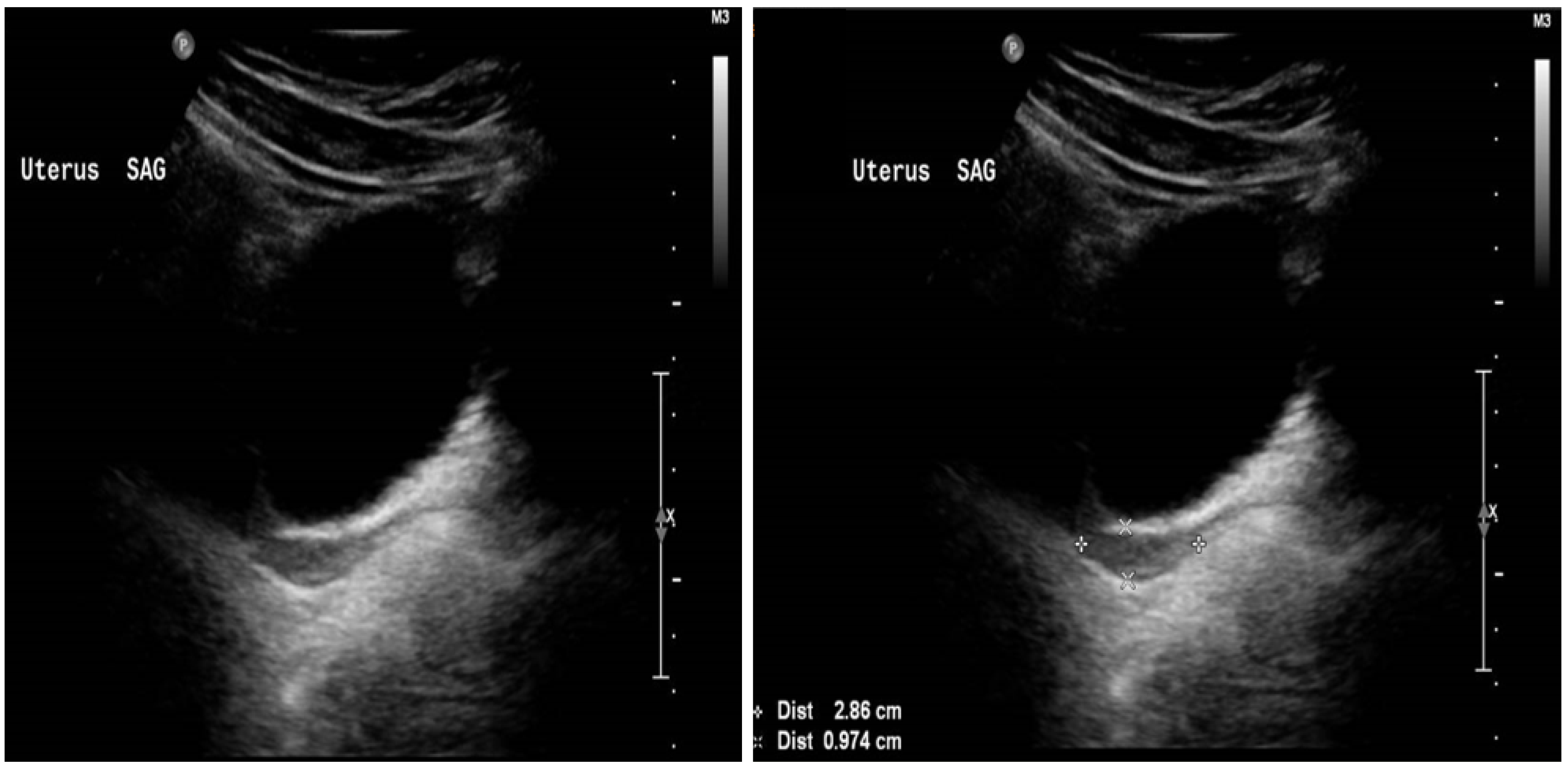 Life 13 02022 g001 Life 13 02022 g001