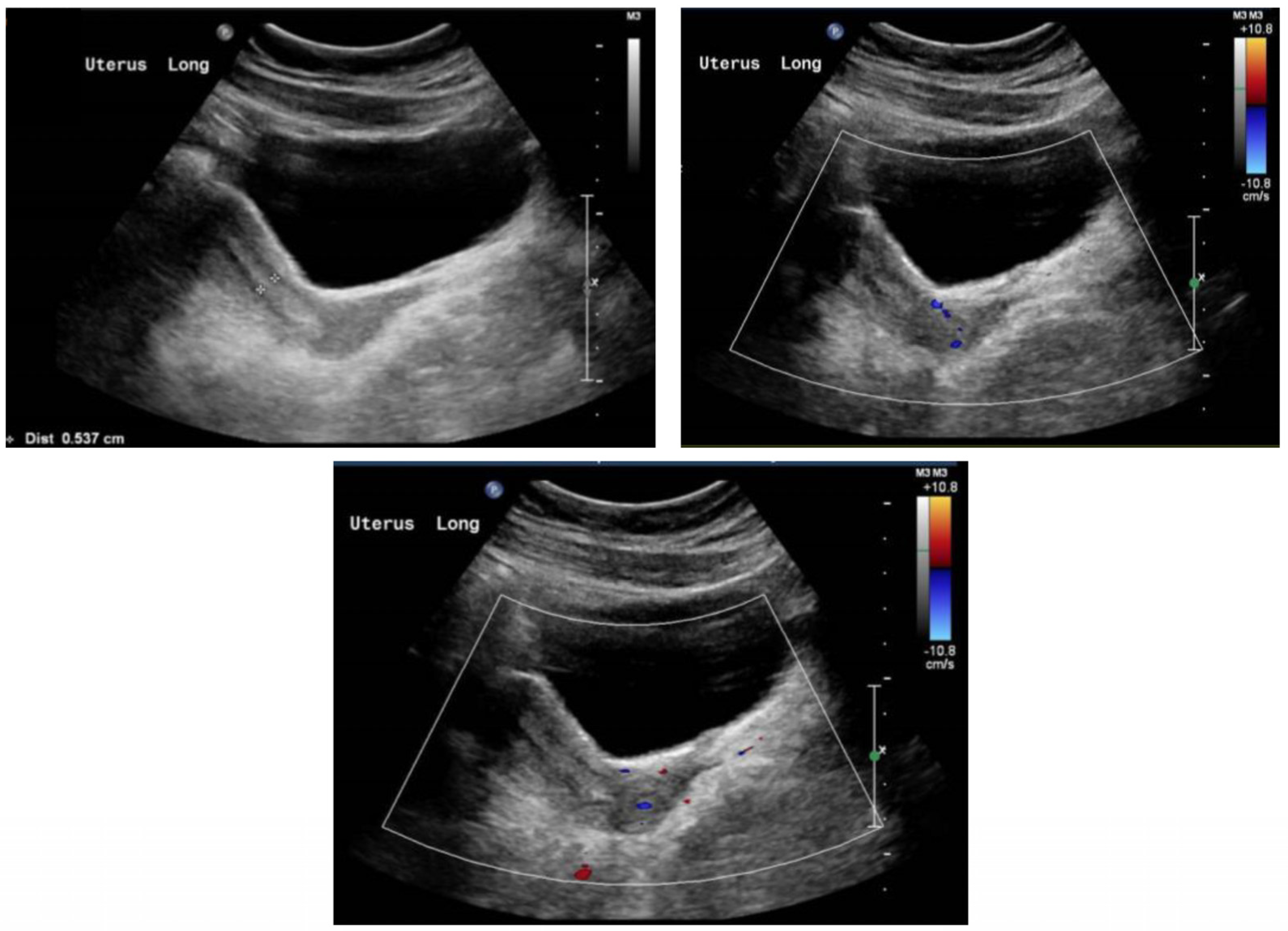 Life 13 02022 g002 Life 13 02022 g002