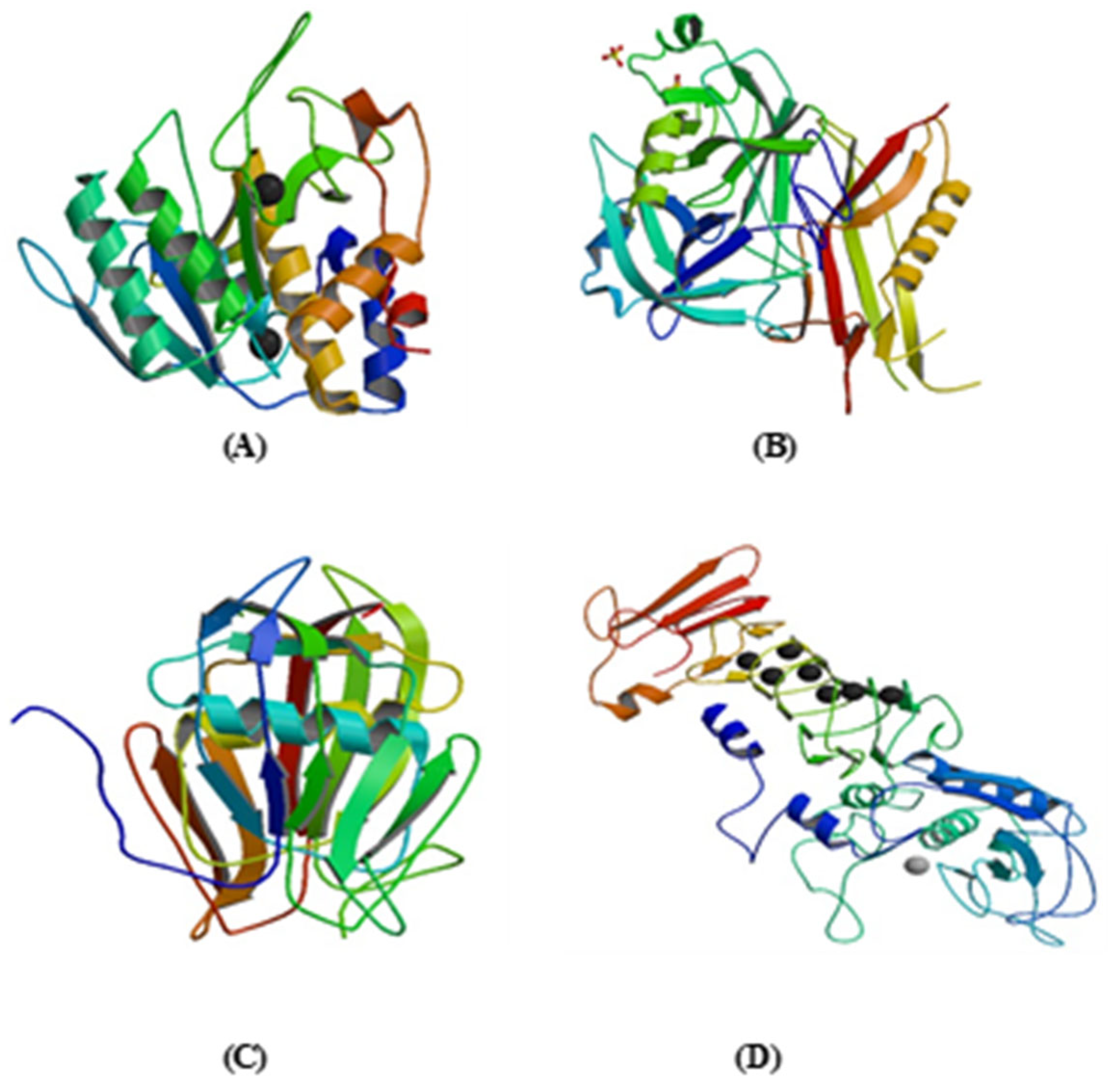 Life 13 02196 g005 Life 13 02196 g005