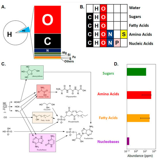 Life Free Full Text Xeno Amino Acids A Look into Biochemistry