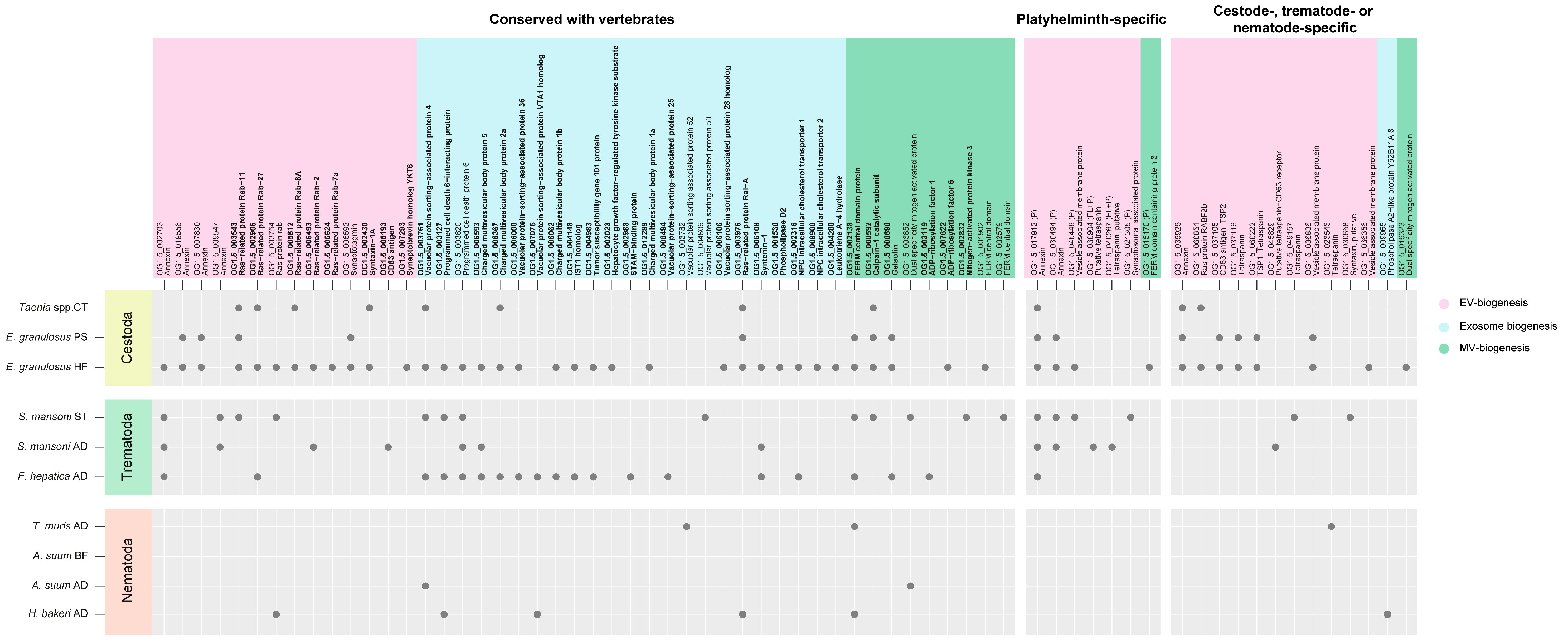 Life 13 02286 g003 Life 13 02286 g003