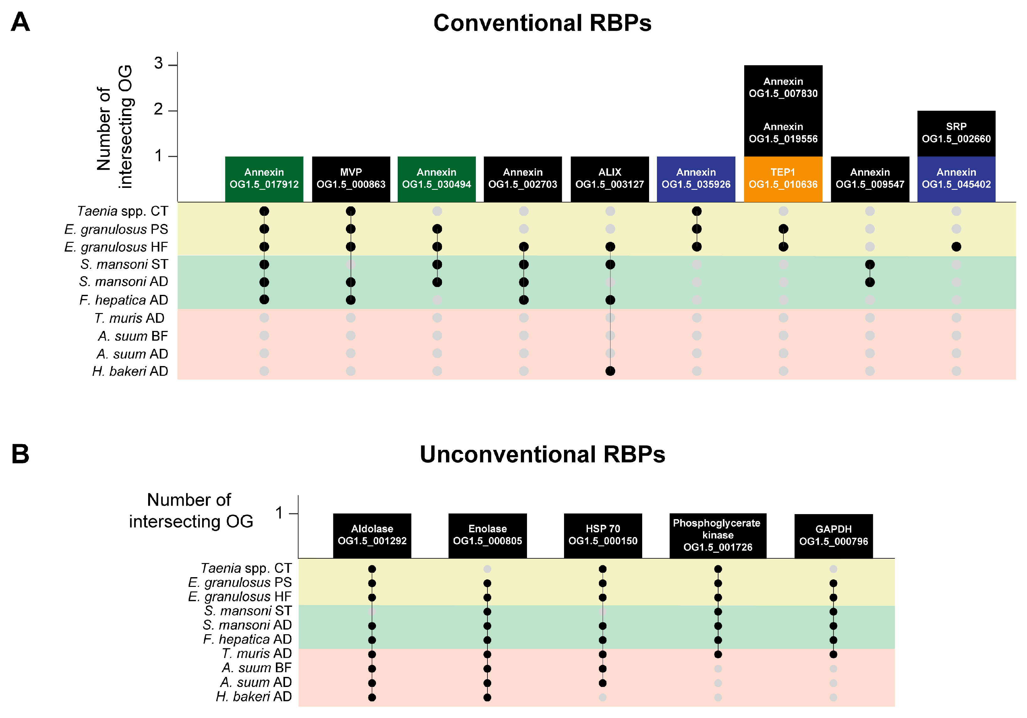 Life 13 02286 g005 Life 13 02286 g005