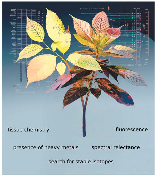 V- TECH Botany Herbarium at Rs 550/set