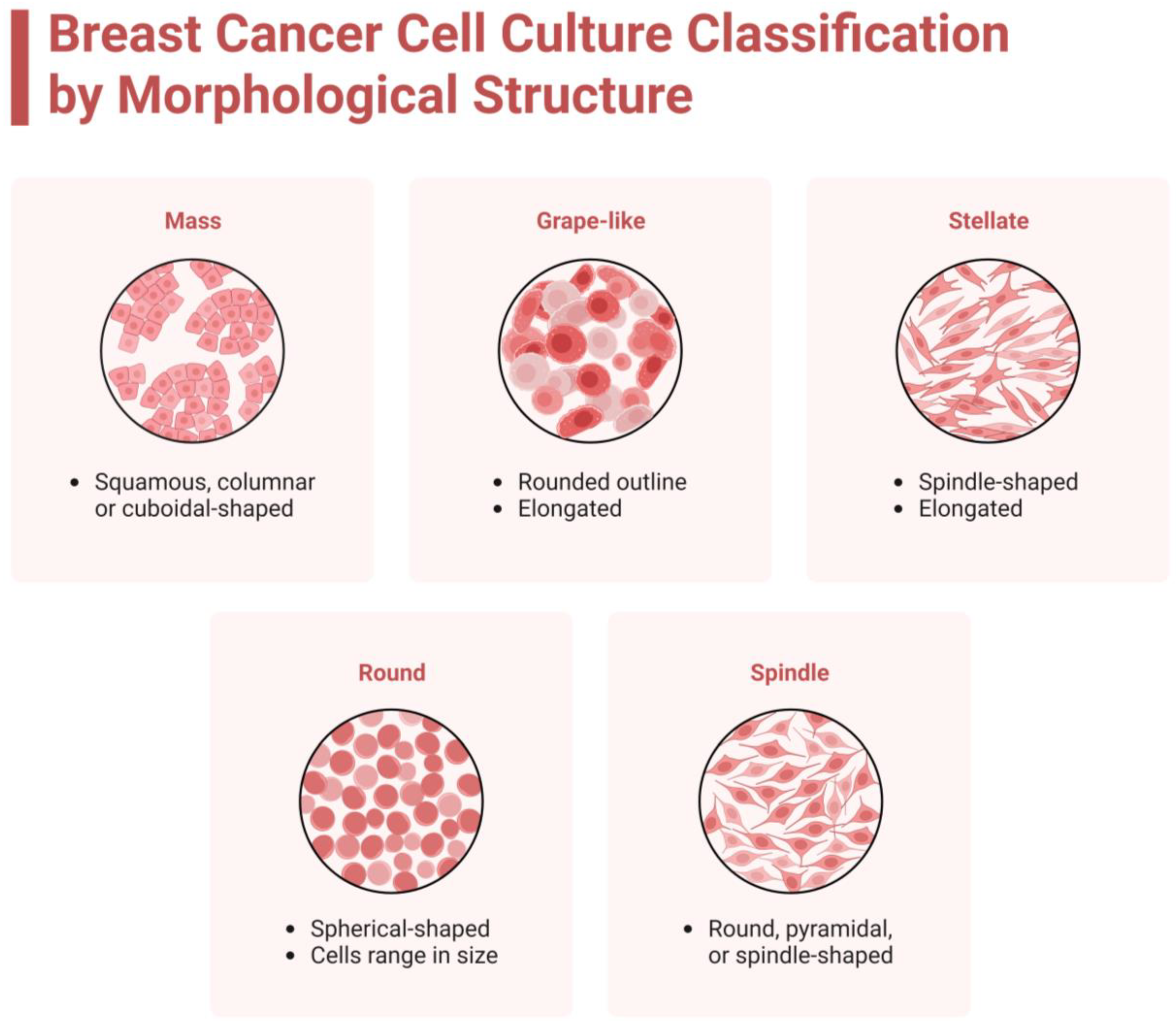 Breast Cancer — Cellular and Molecular Biomechanics Laboratory