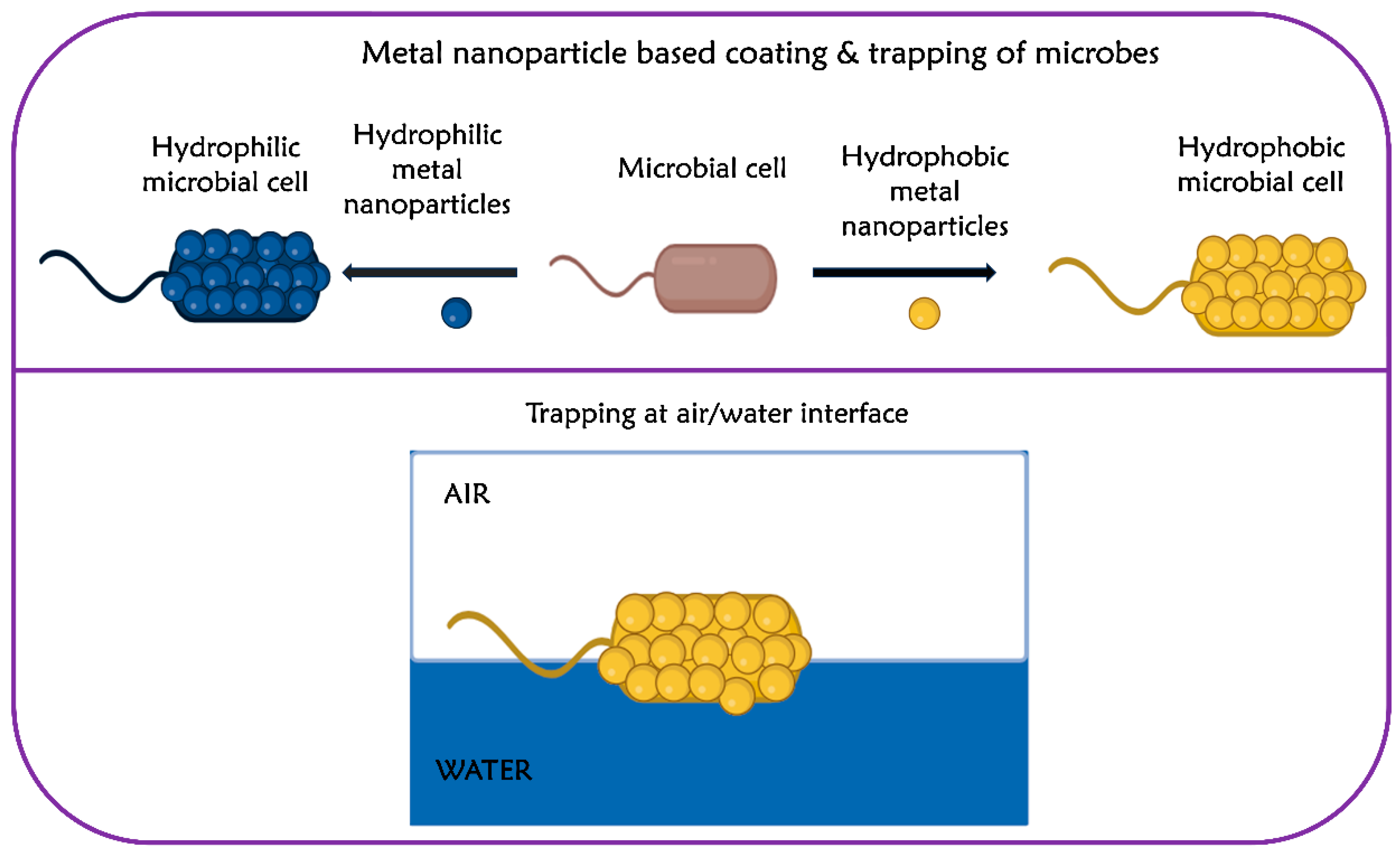 Life 14 00038 g002 Life 14 00038 g002
