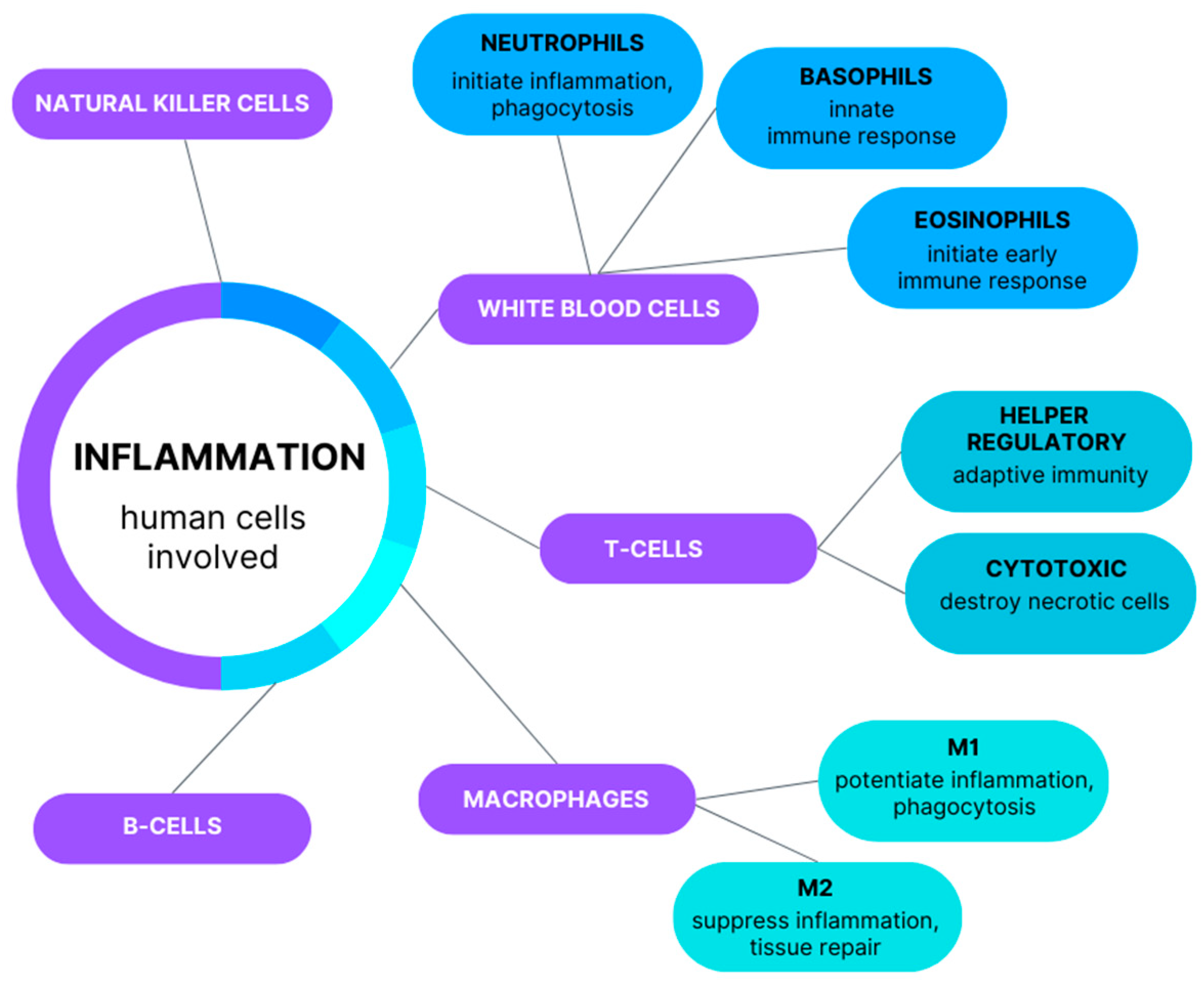 Natural Face Lift  Holistic Facial Treatments at JEMIOR