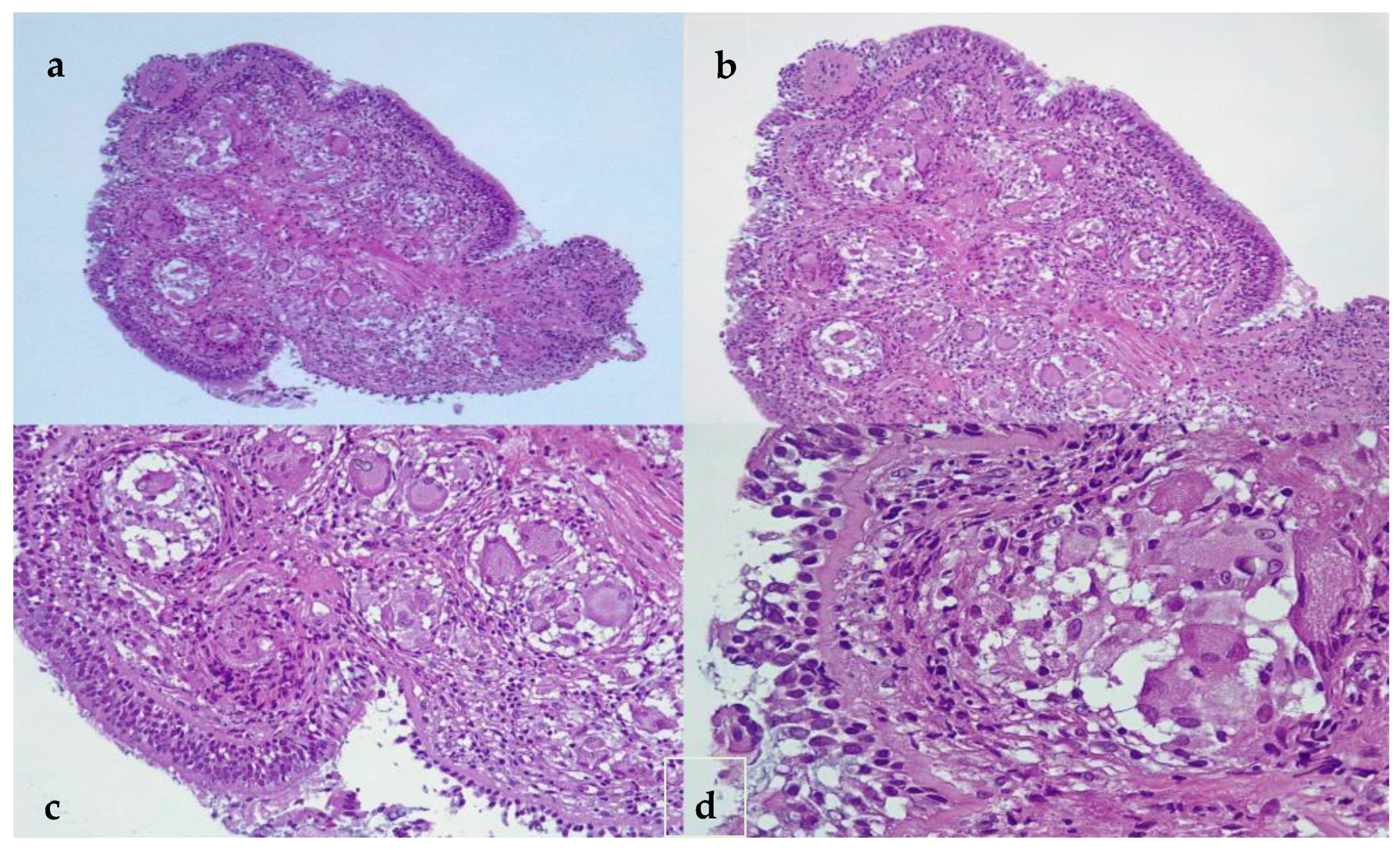 Life 14 00044 g002 Life 14 00044 g002