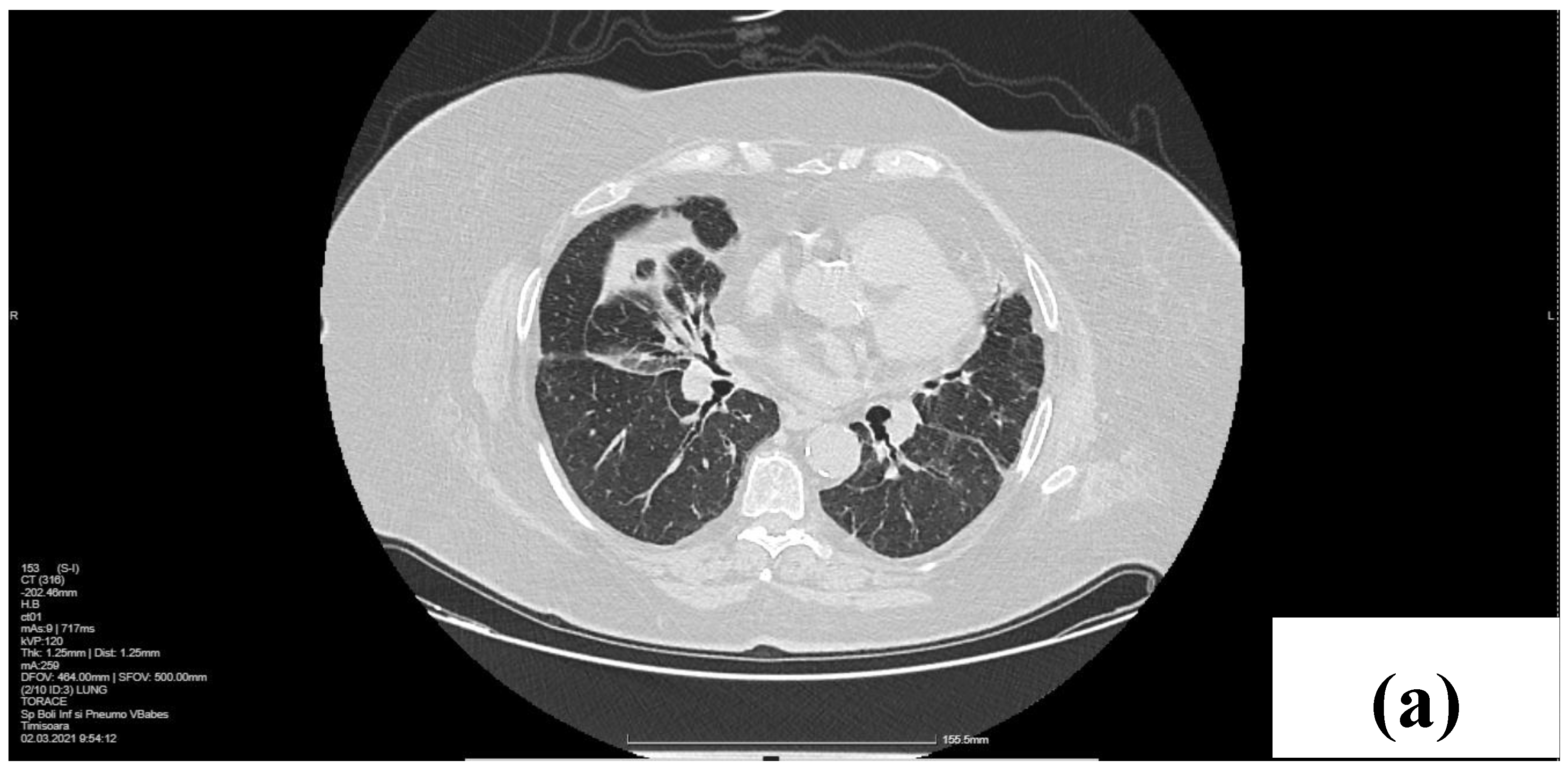 Life 14 00044 g003a Life 14 00044 g003a