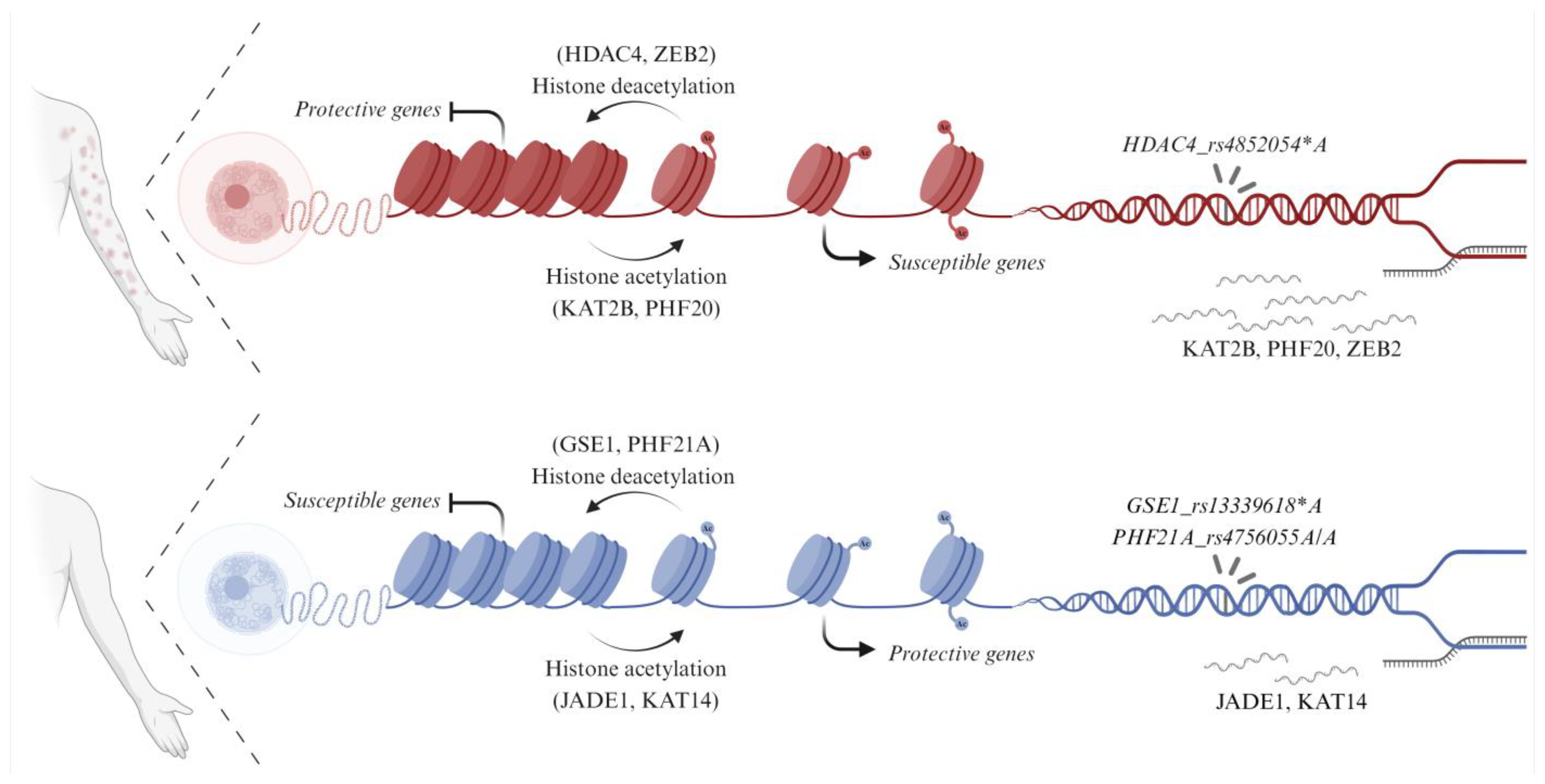 Life | Free Full-Text | Genetic Association and Differential RNA ...