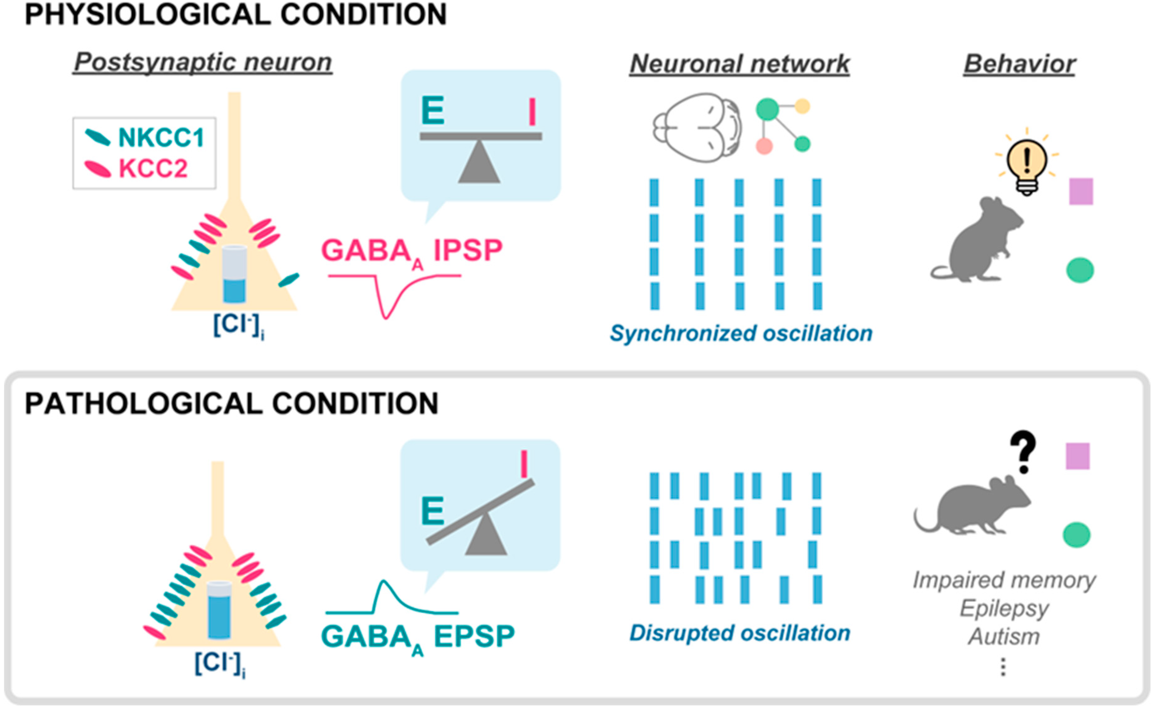 Life 14 00143 g001 Life 14 00143 g001