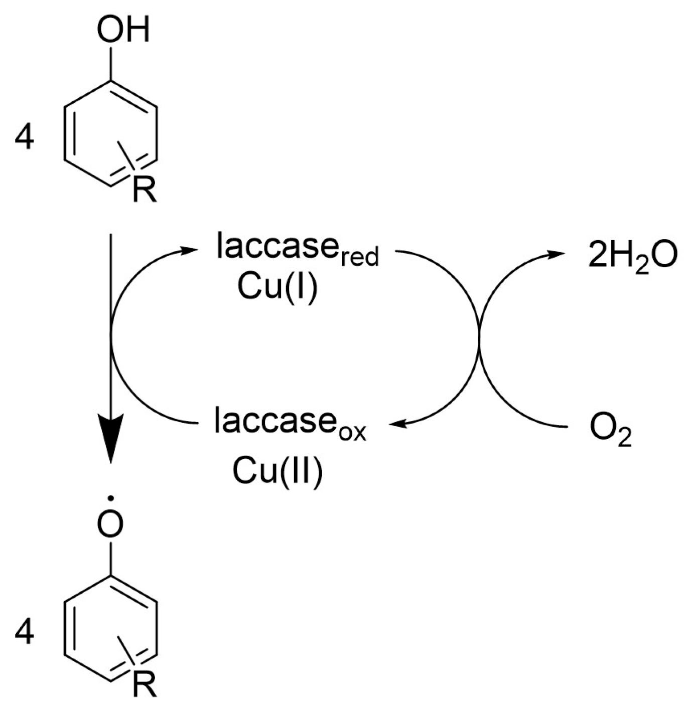 Life 14 00230 g001 Life 14 00230 g001