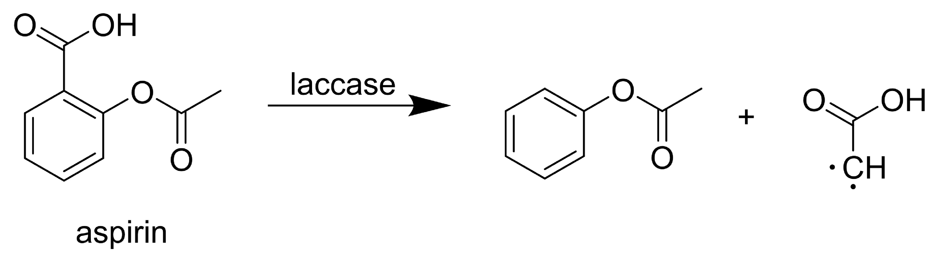 Life 14 00230 g003 Life 14 00230 g003