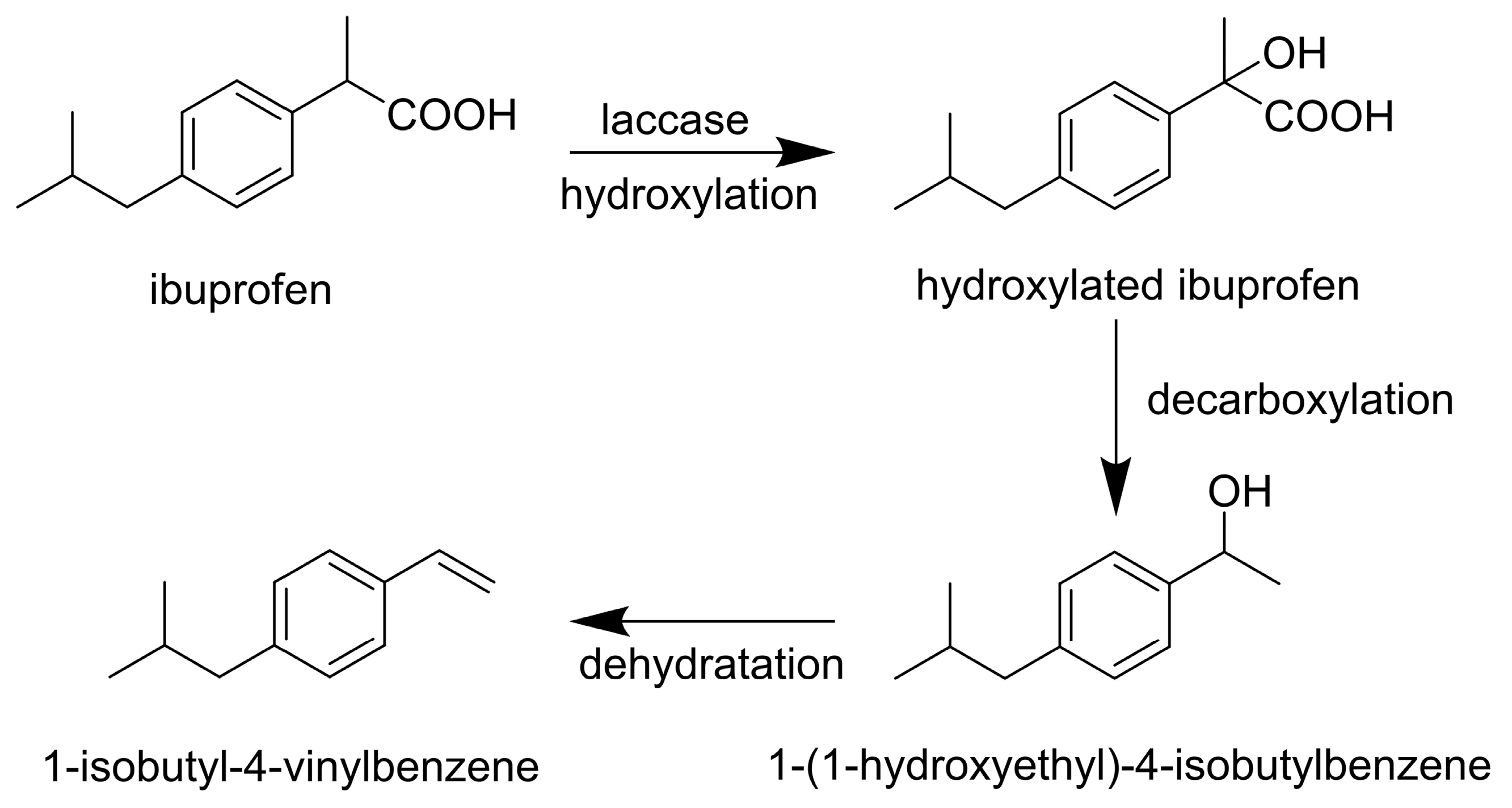 Life 14 00230 g004 Life 14 00230 g004