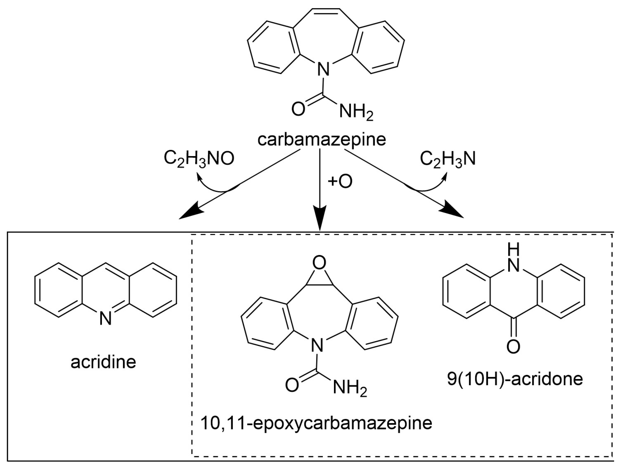 Life 14 00230 g007 Life 14 00230 g007