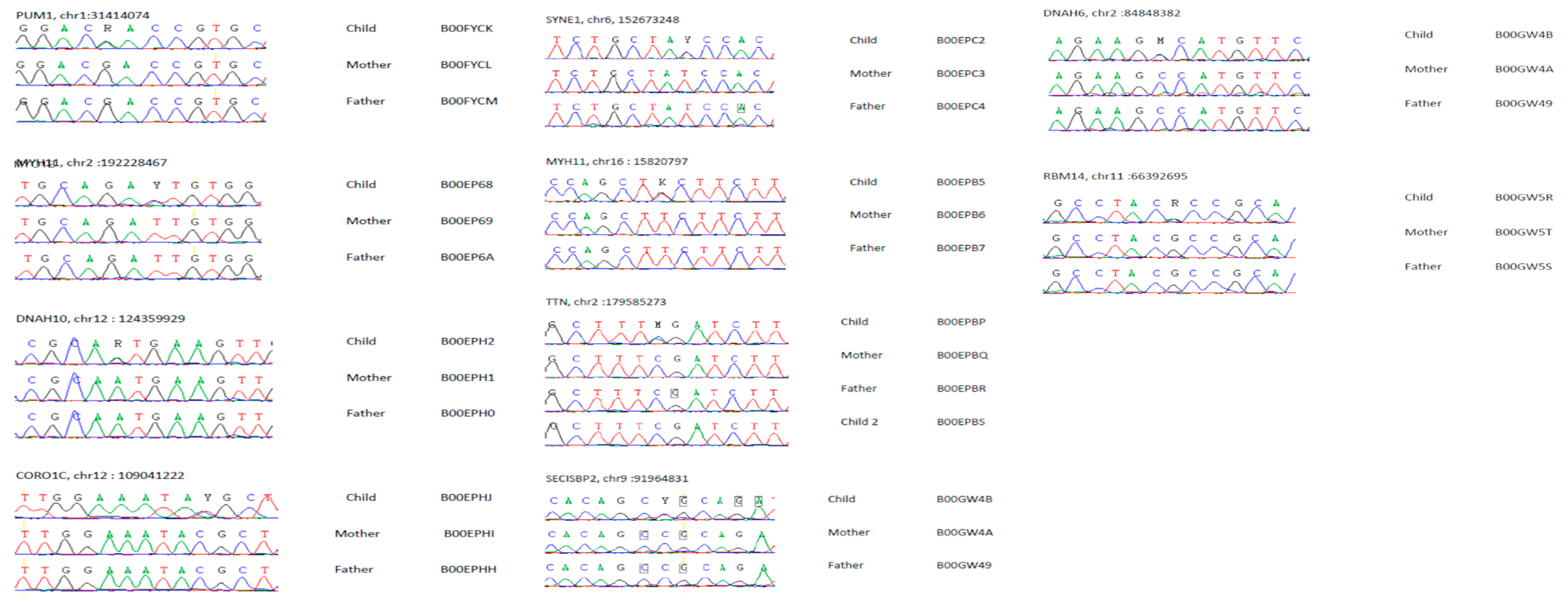 Life 14 00244 g005 Life 14 00244 g005