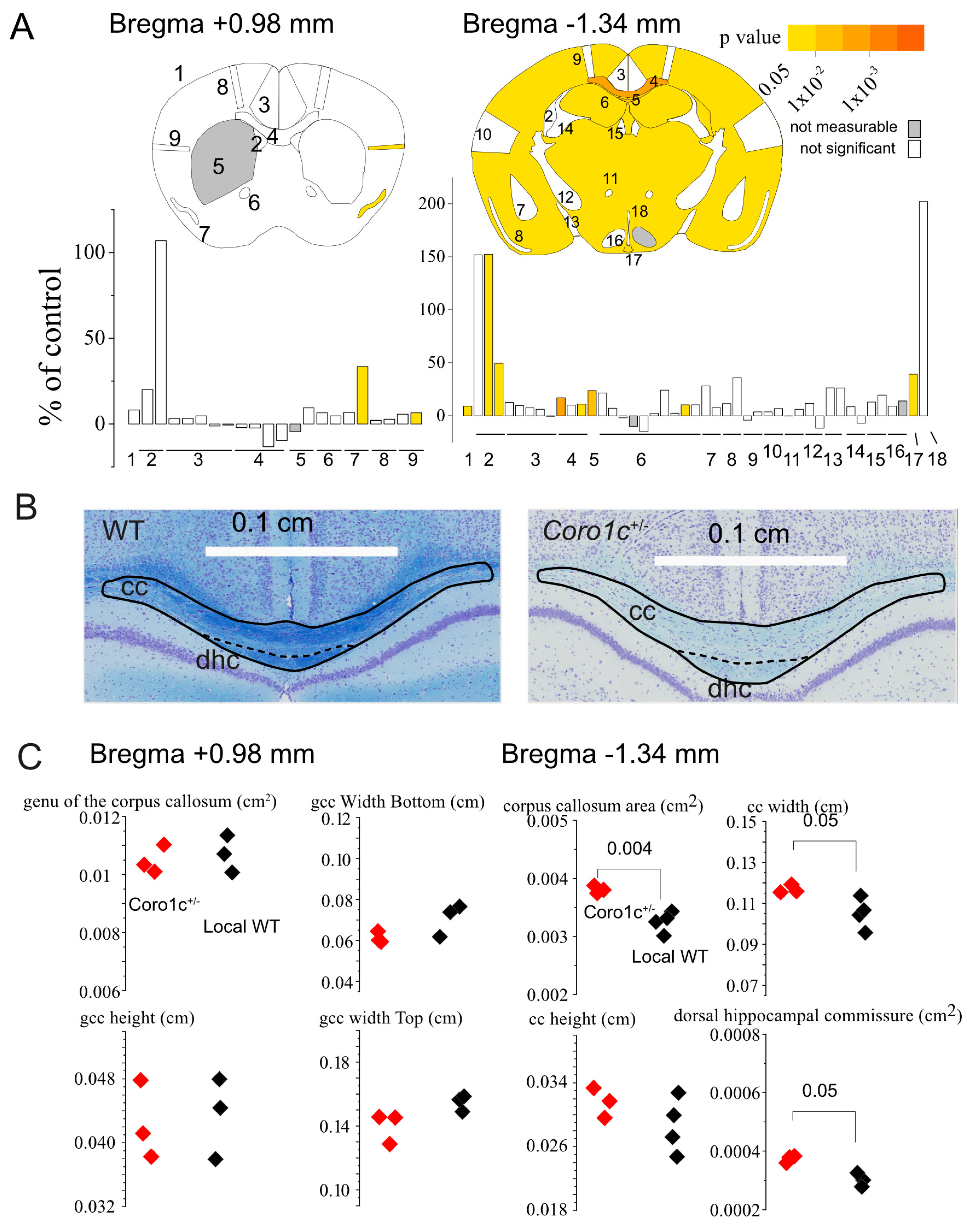 Life 14 00244 g006 Life 14 00244 g006