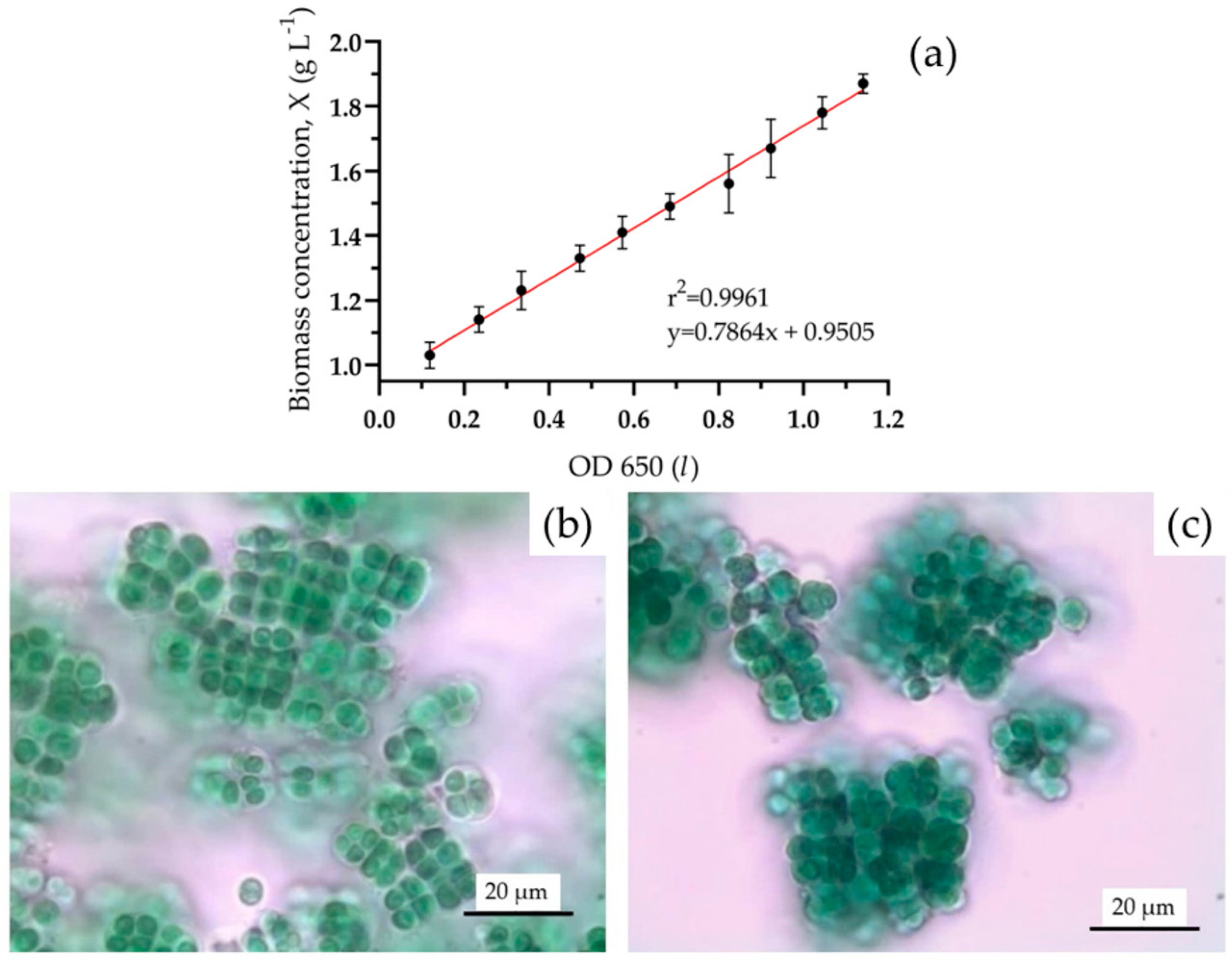 Life 14 00251 g002 Life 14 00251 g002