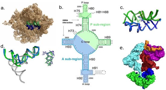 Life Free Full Text Three Biopolymers and Origin of Life Scenarios