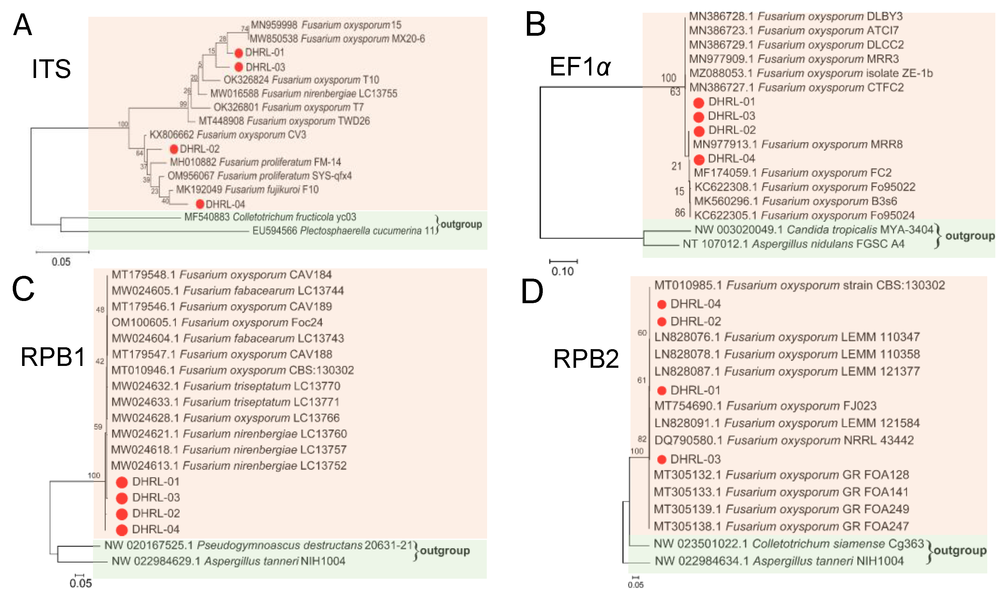 Life 14 00285 g004 Life 14 00285 g004