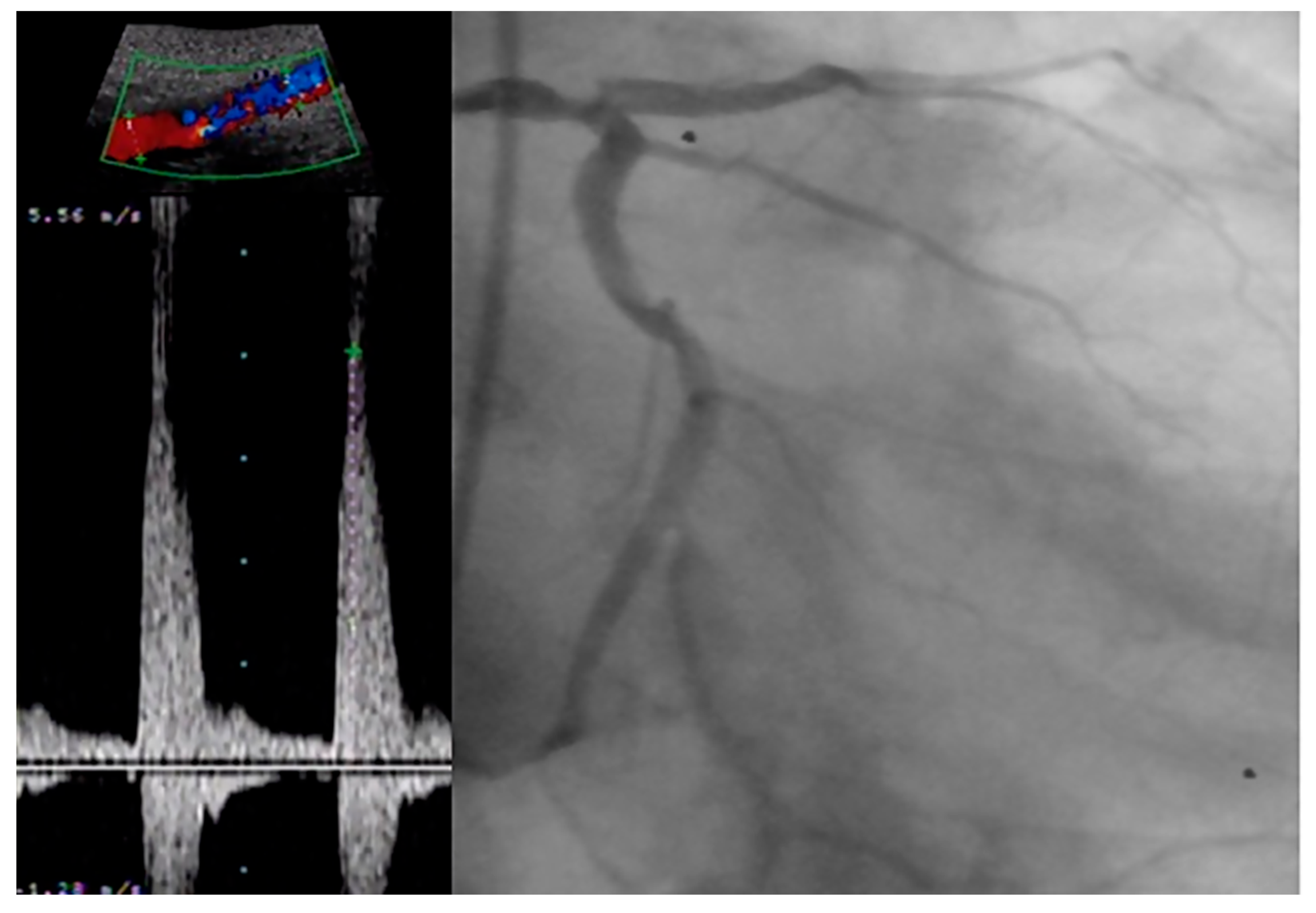 Life 14 00333 g002 Life 14 00333 g002