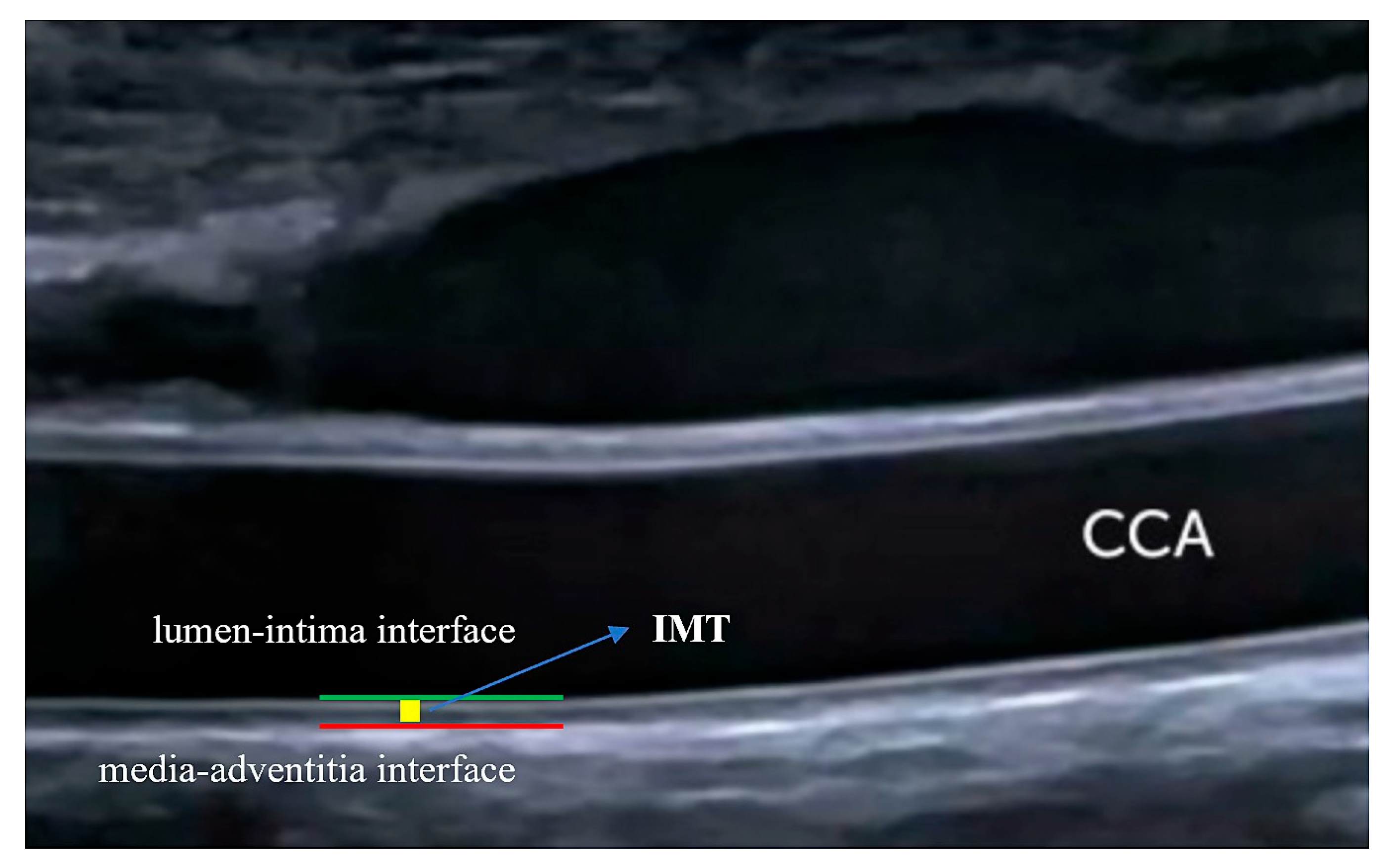 Life 14 00333 g004 Life 14 00333 g004