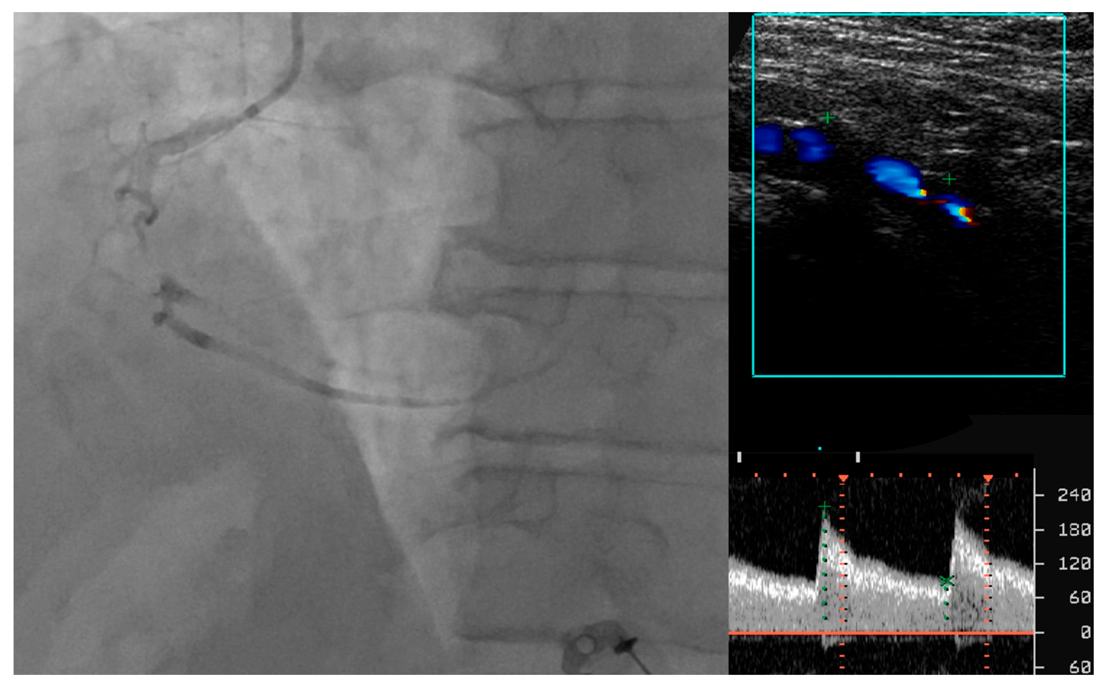 Life 14 00333 g005 Life 14 00333 g005