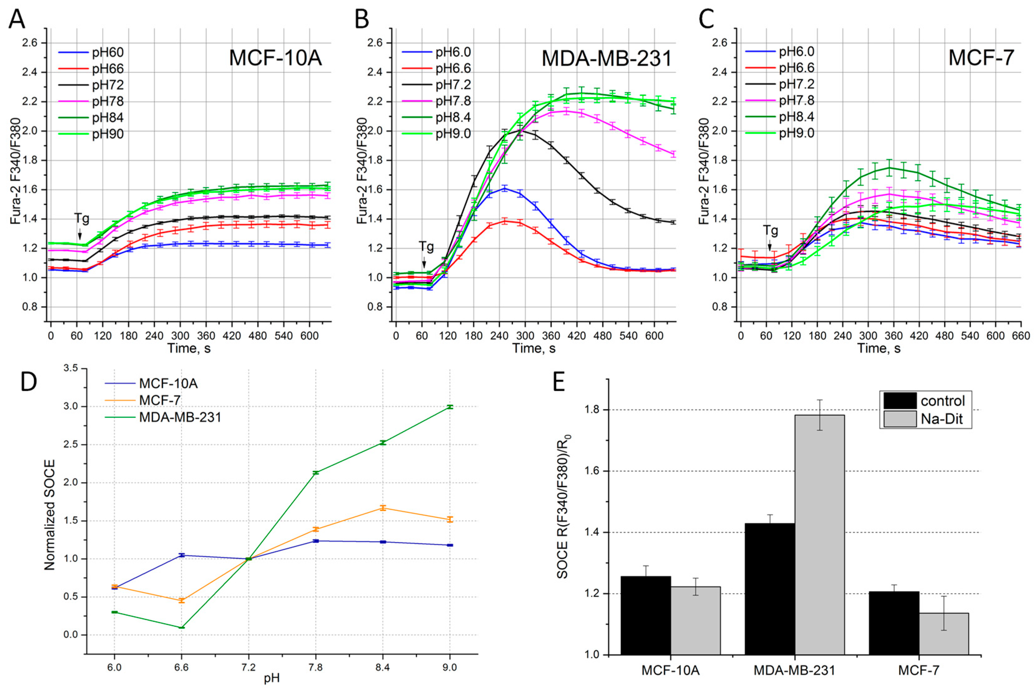 Life 14 00357 g002 Life 14 00357 g002
