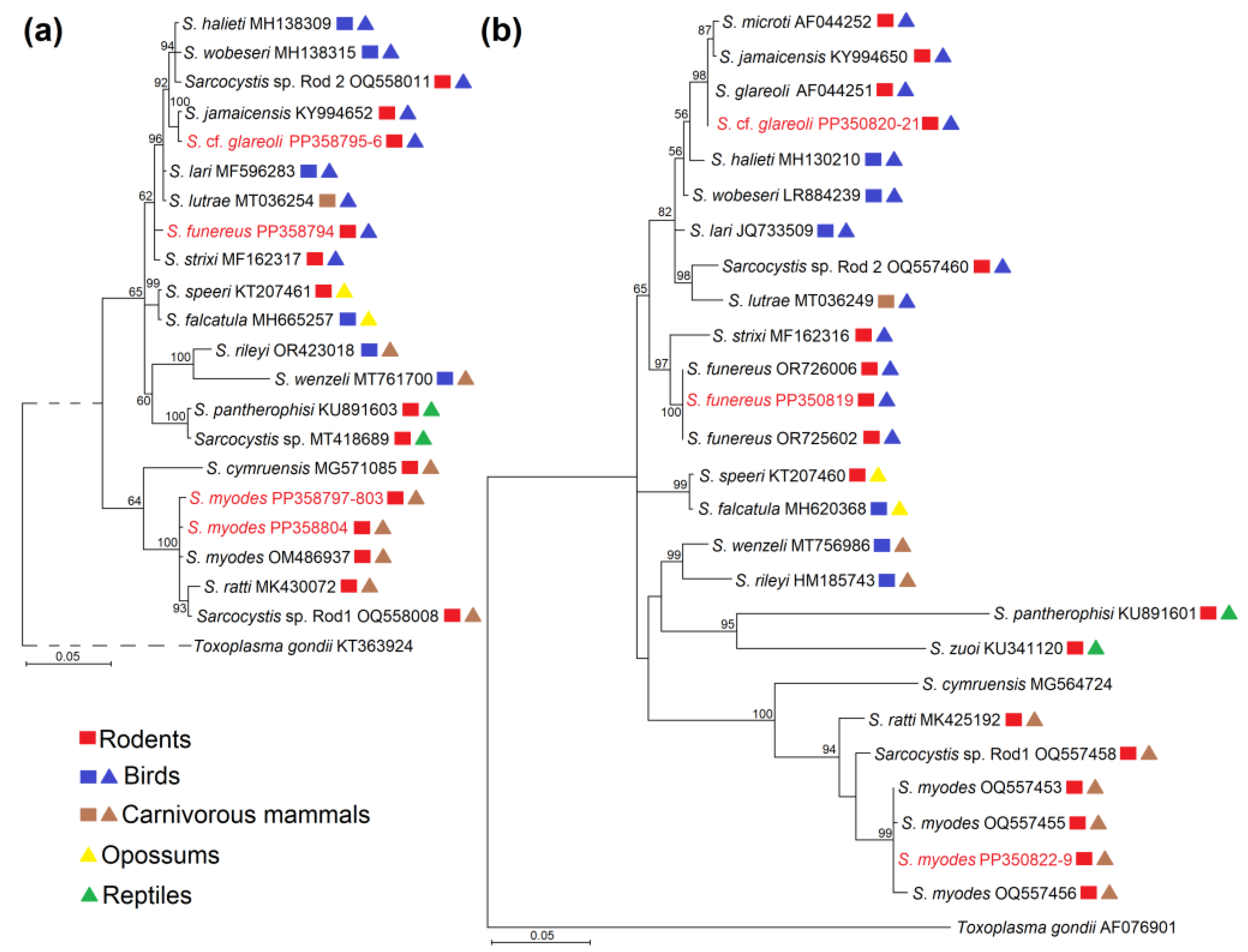 Life 14 00365 g002 Life 14 00365 g002