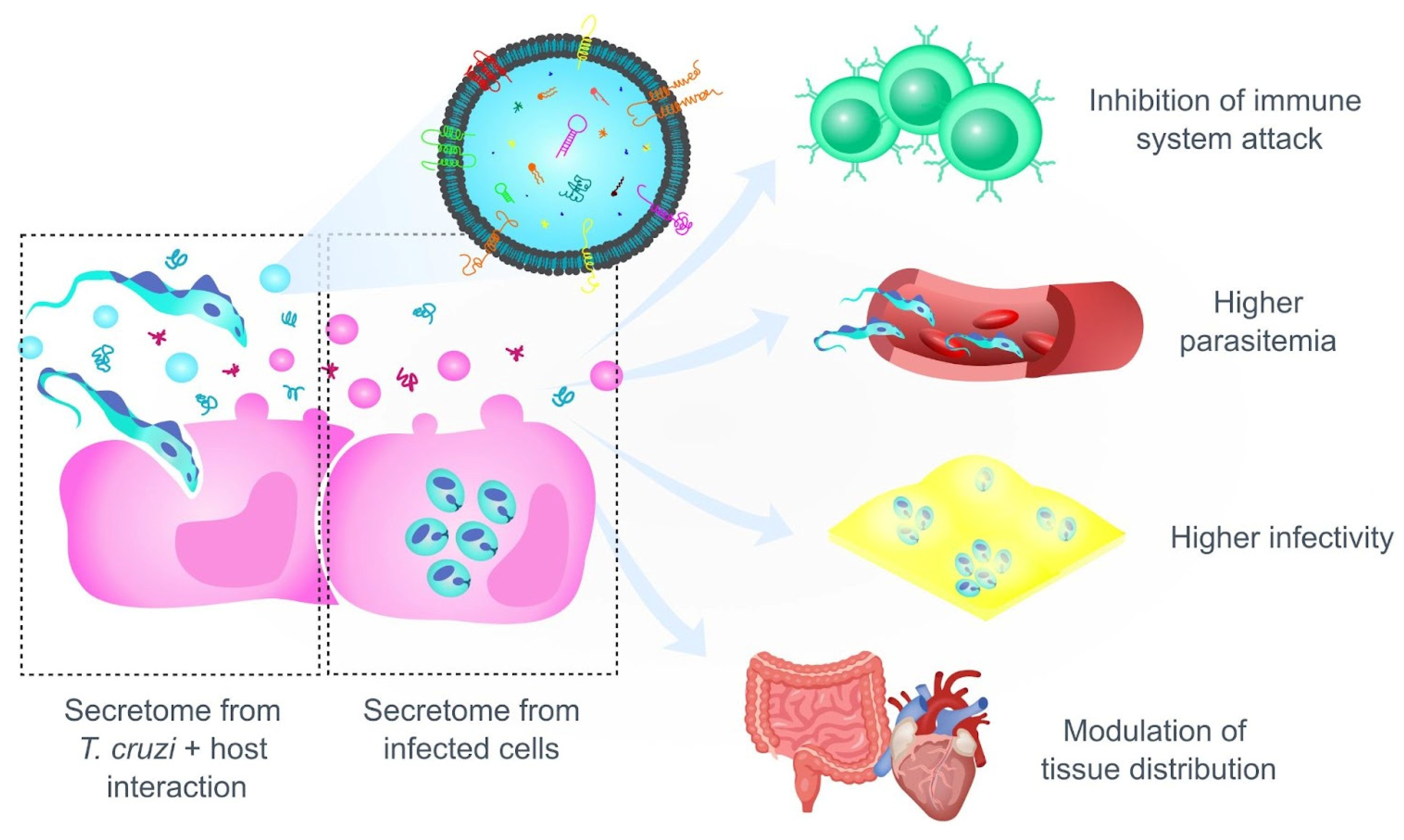 Life 14 00488 g004 Life 14 00488 g004