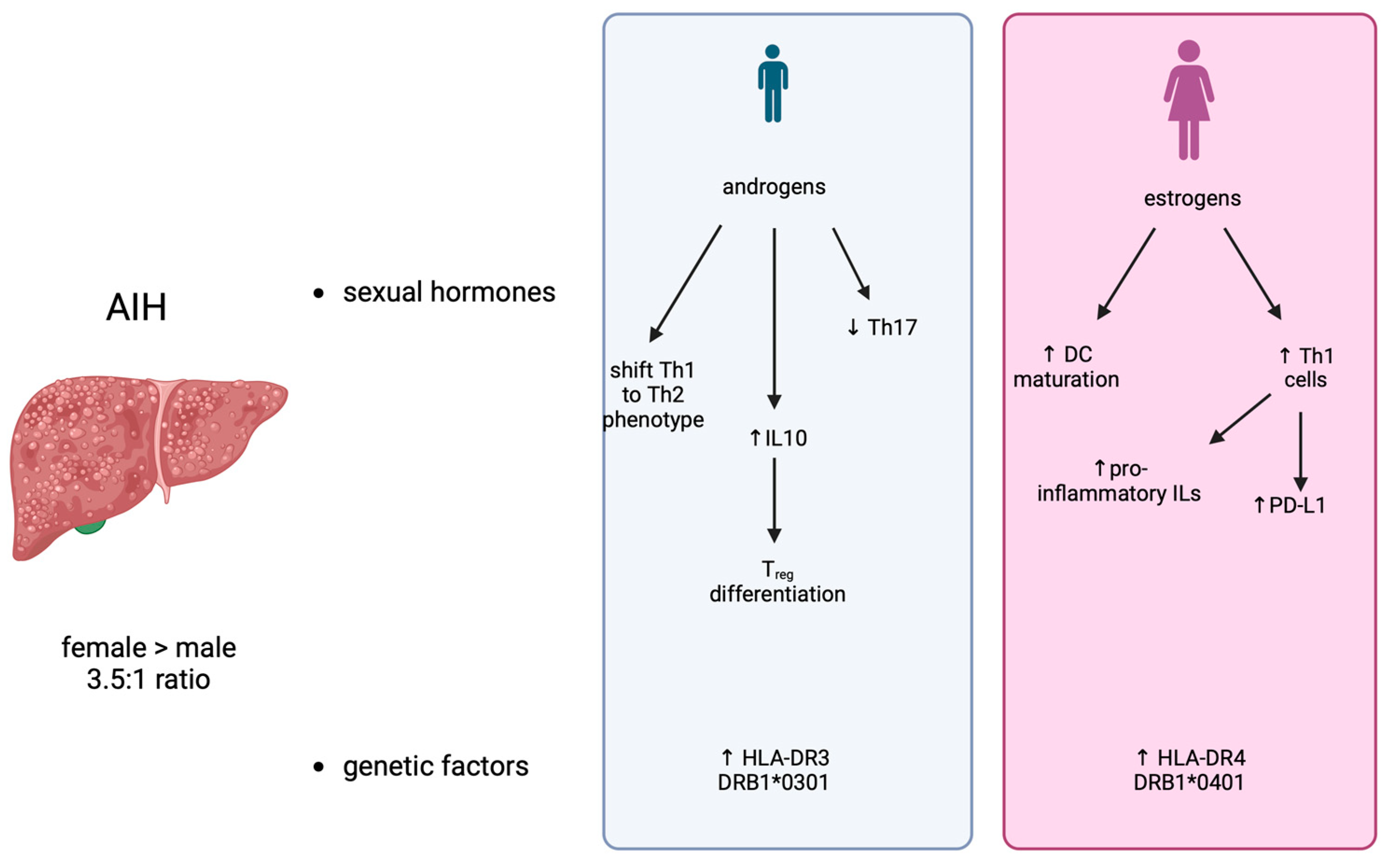 Life | Free Full-Text | Are Gender Differences Important for Autoimmune  Liver Diseases?