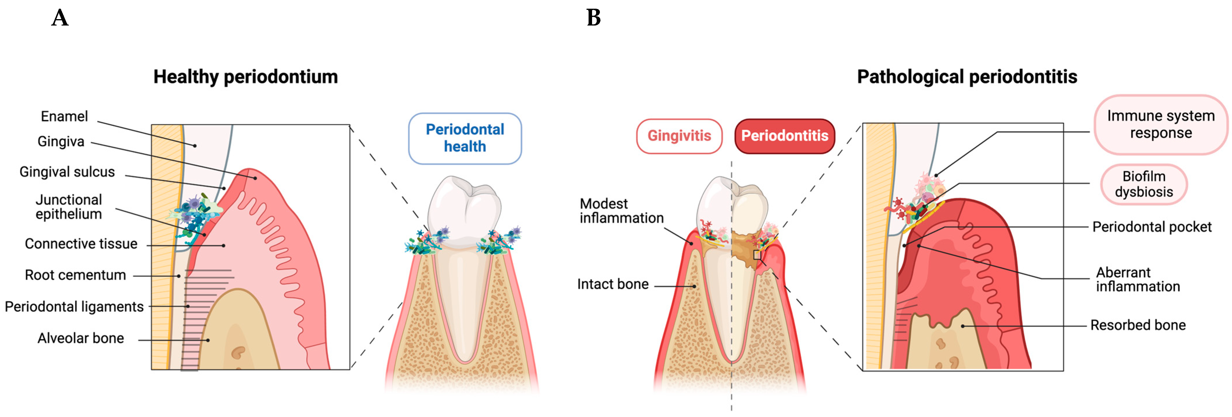 Life 14 00552 g001 Life 14 00552 g001