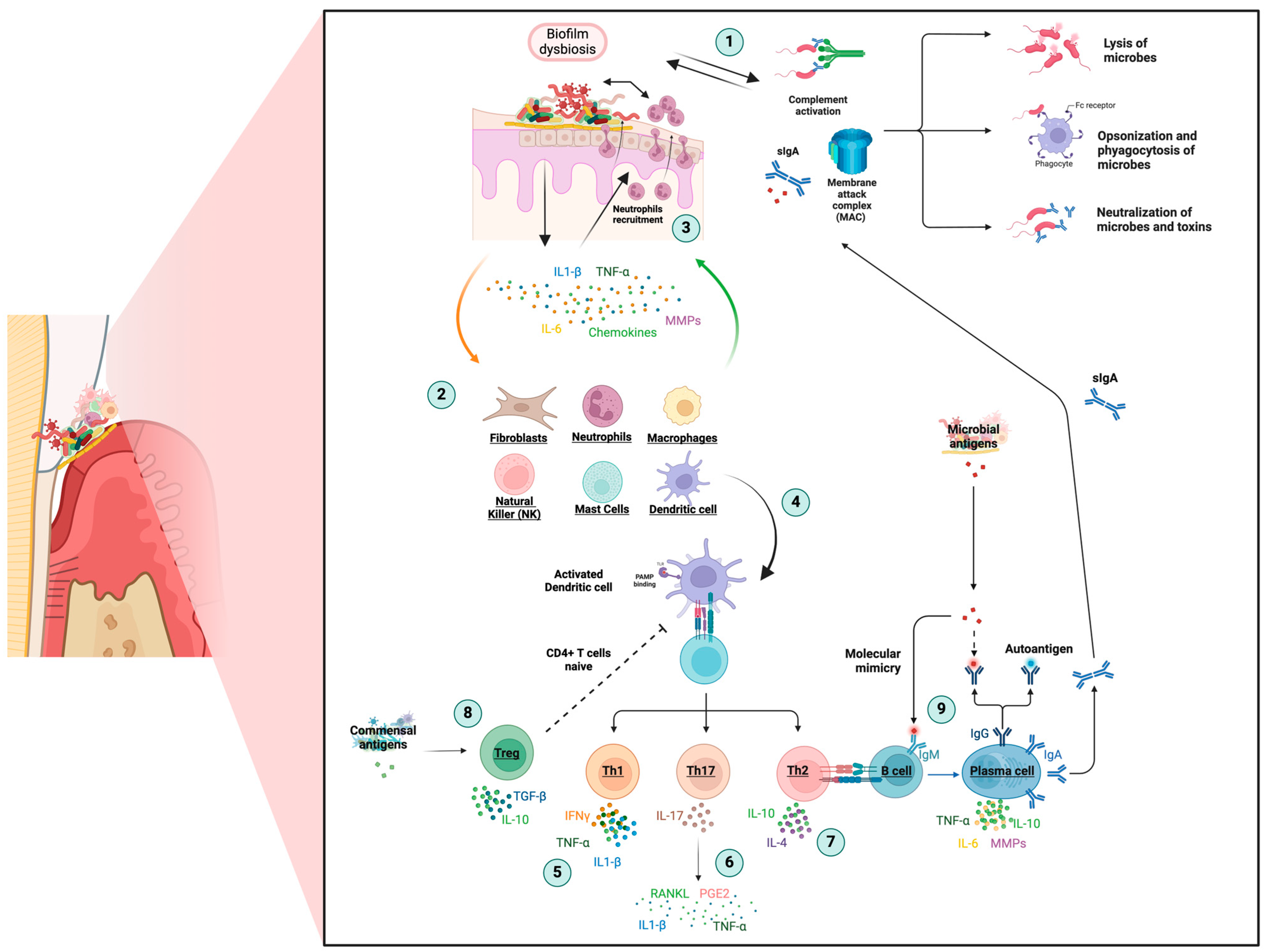 Life 14 00552 g002 Life 14 00552 g002