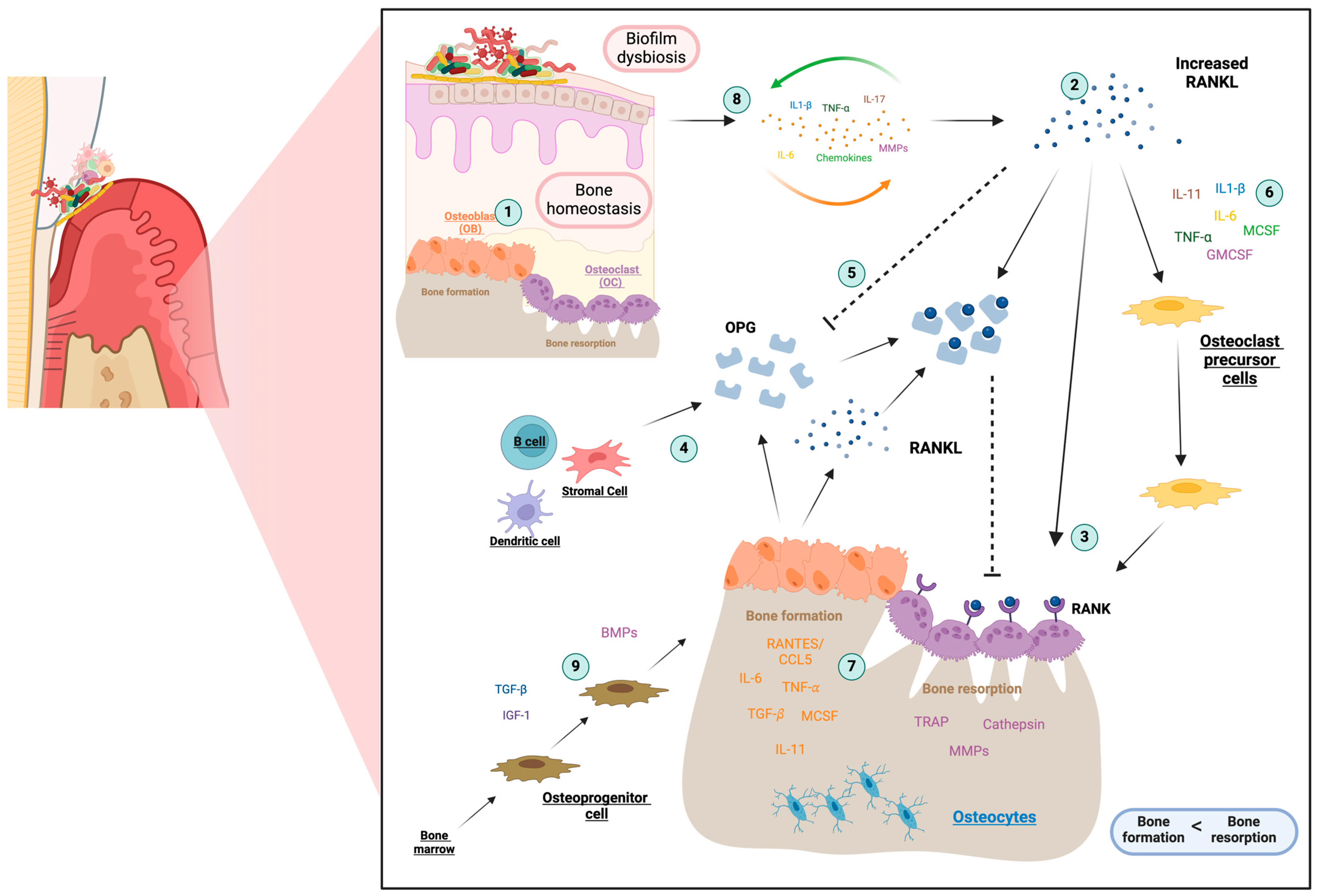 Life 14 00552 g003 Life 14 00552 g003