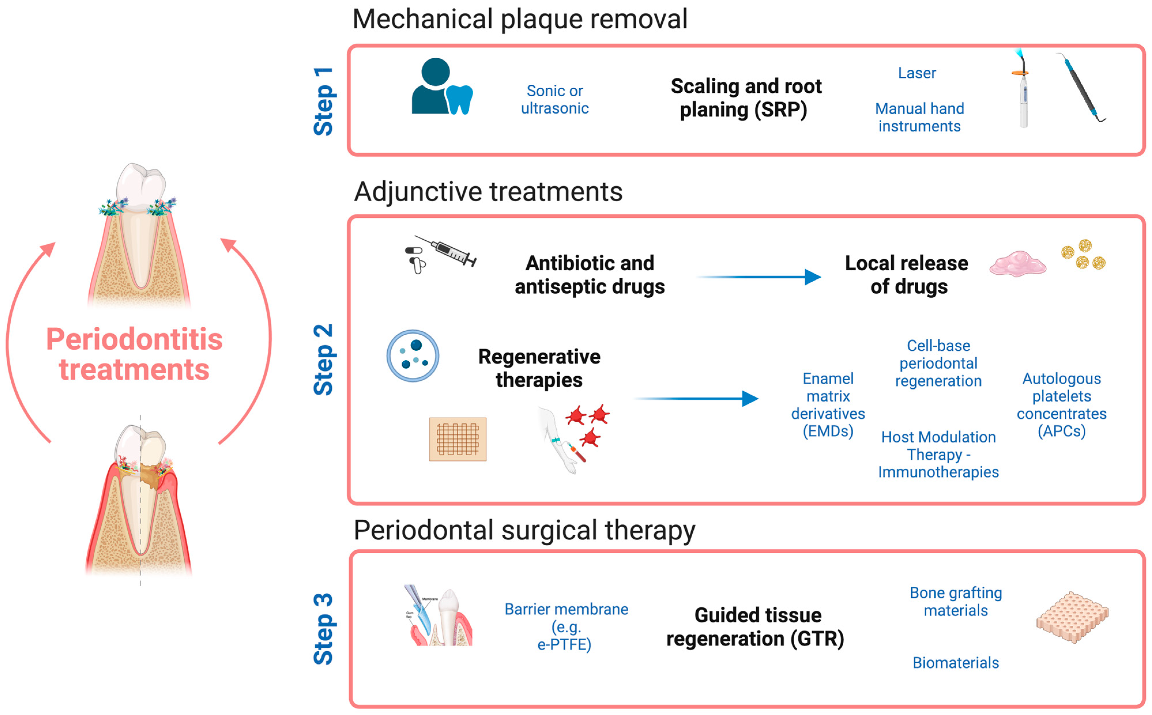 Life 14 00552 g004 Life 14 00552 g004