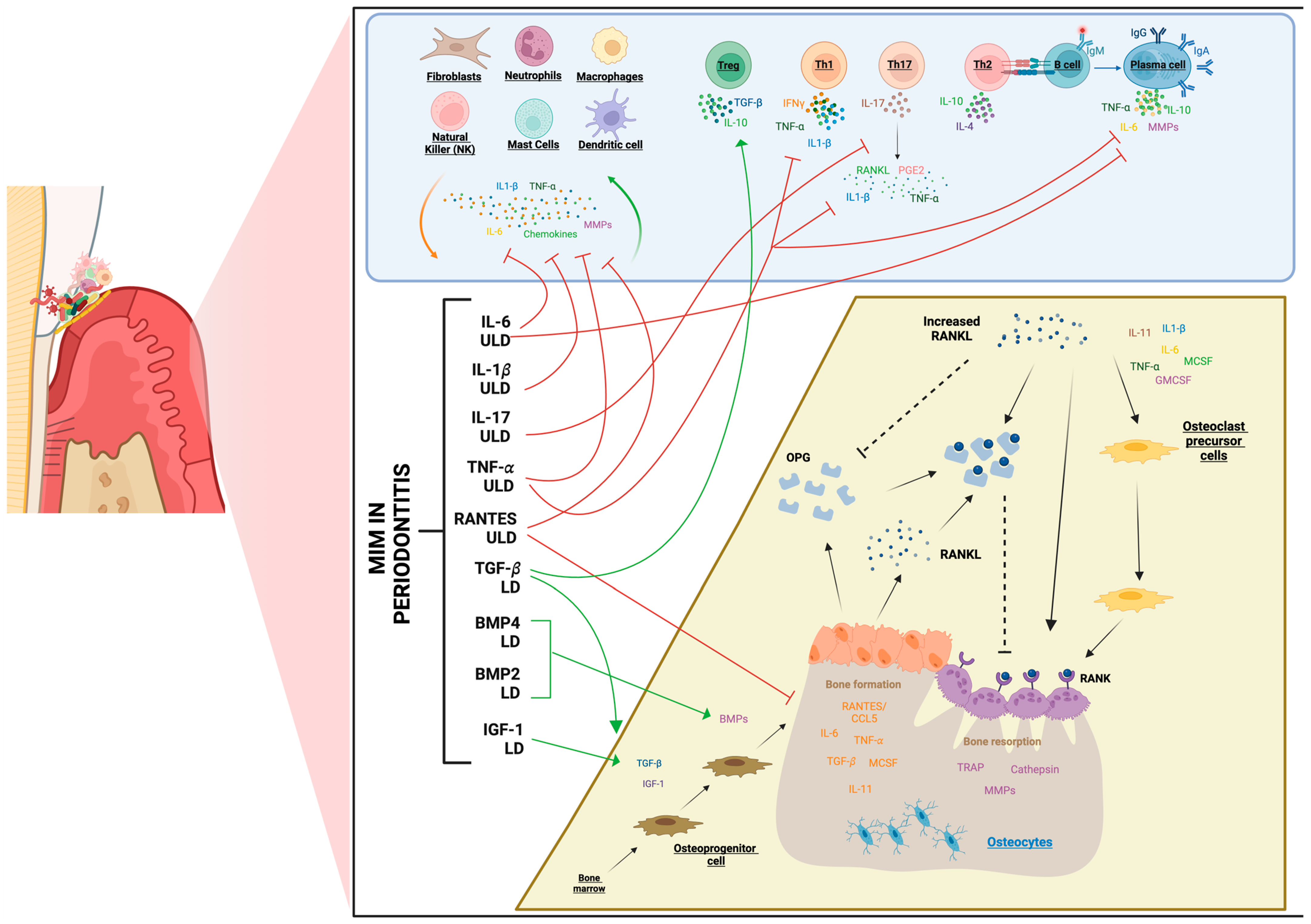 Life 14 00552 g005 Life 14 00552 g005