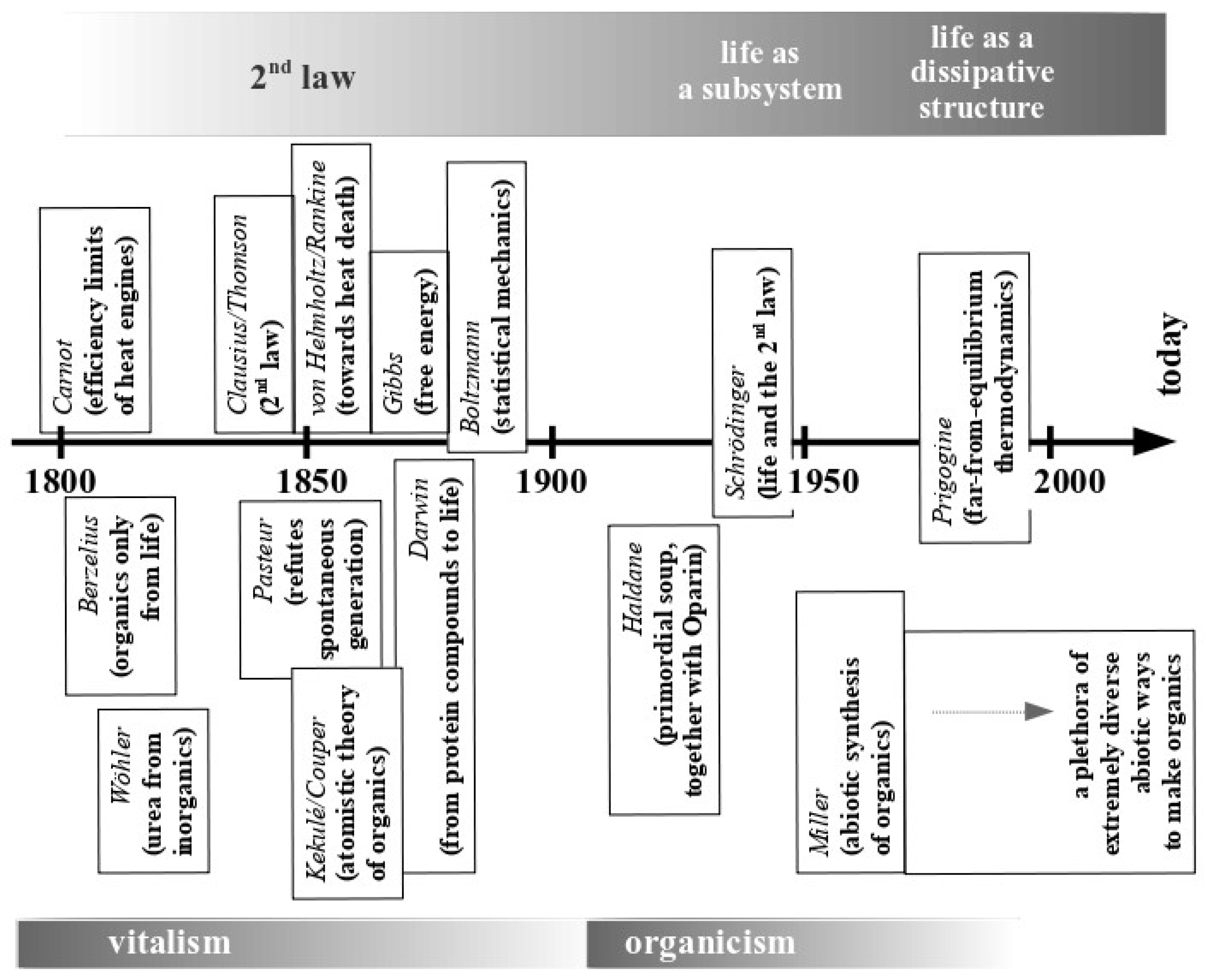 Life | Free Full-Text | The Winding Road from Origin to Emergence (of Life)